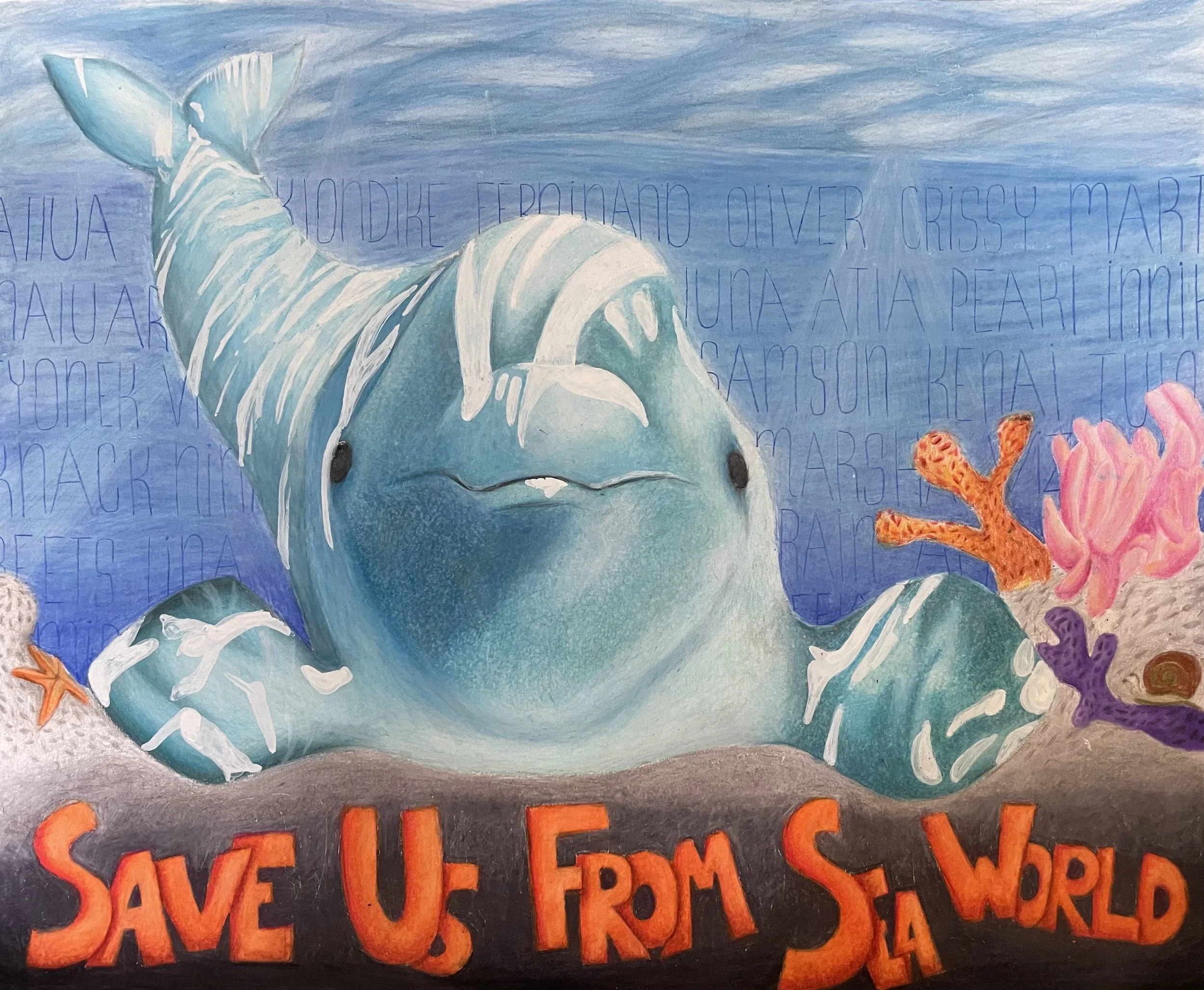 Save Belugas