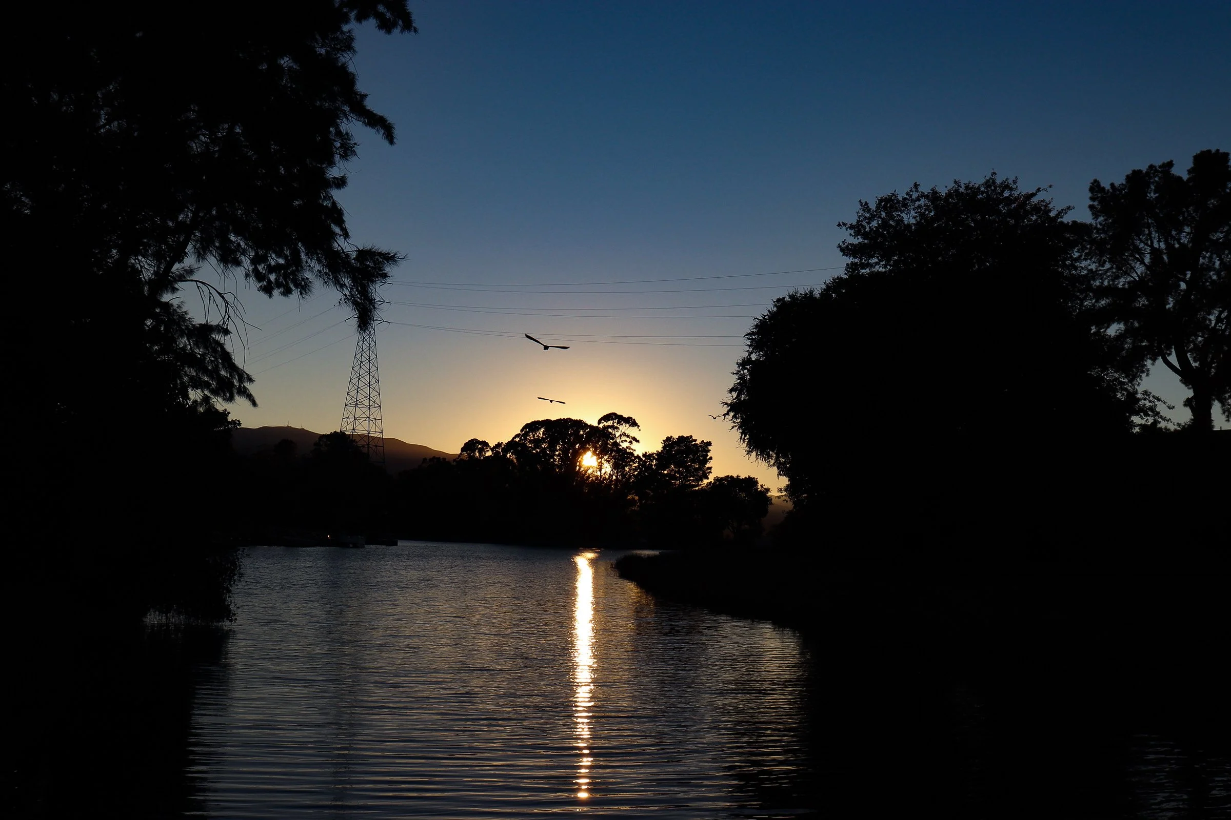 Solace