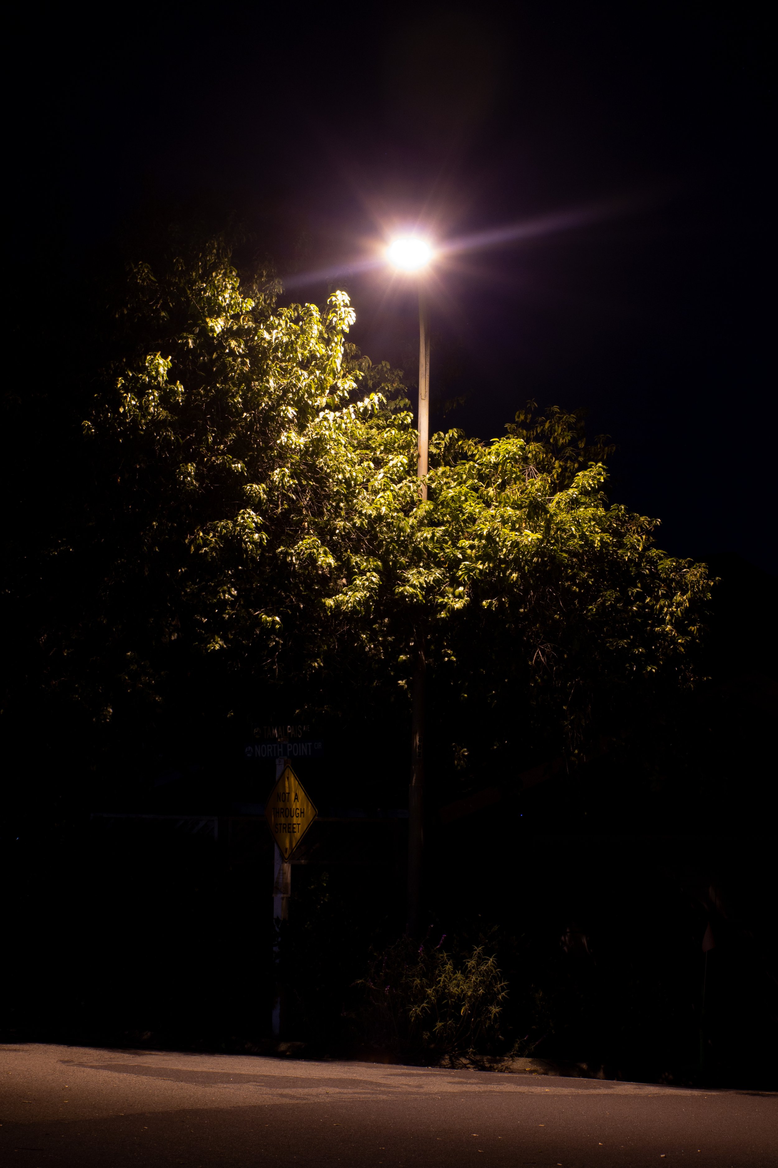 Street Light