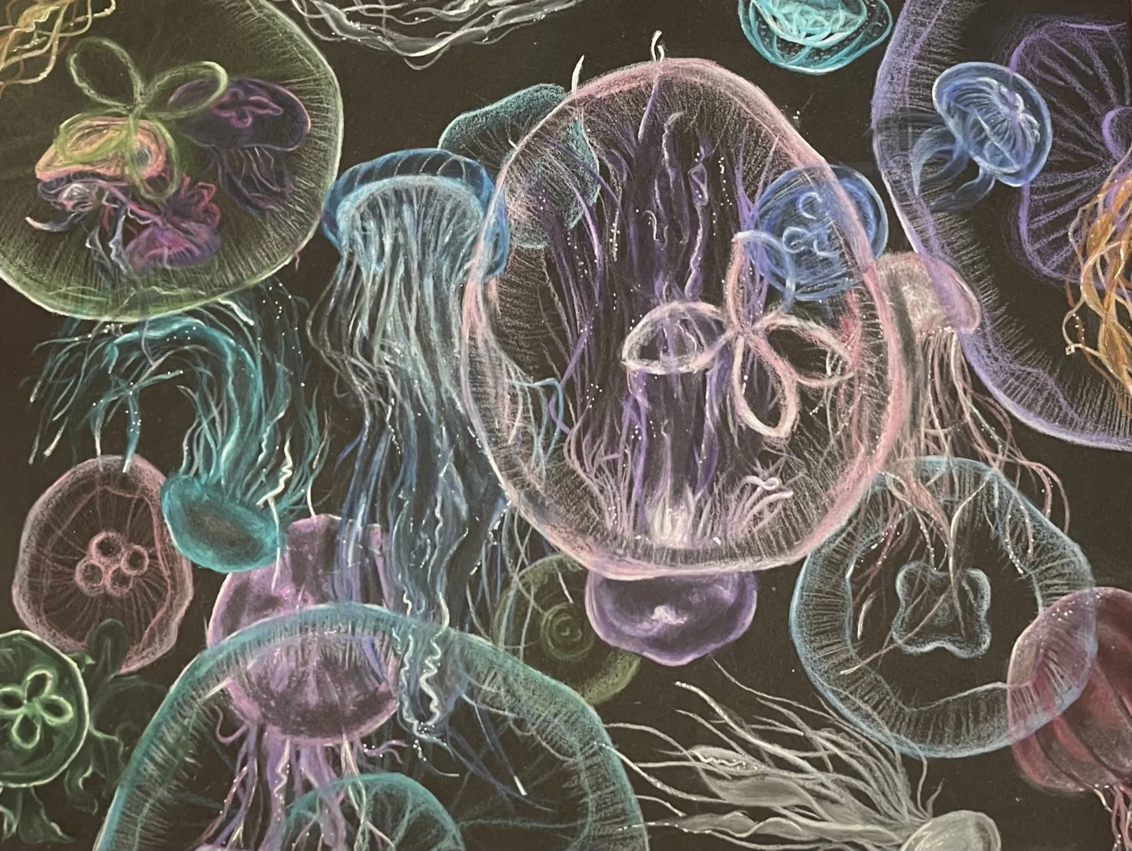 The Art of Jellyfish