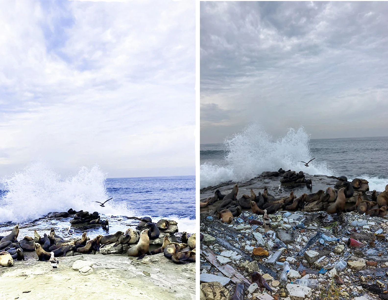 The Oceans Are in Our Hands