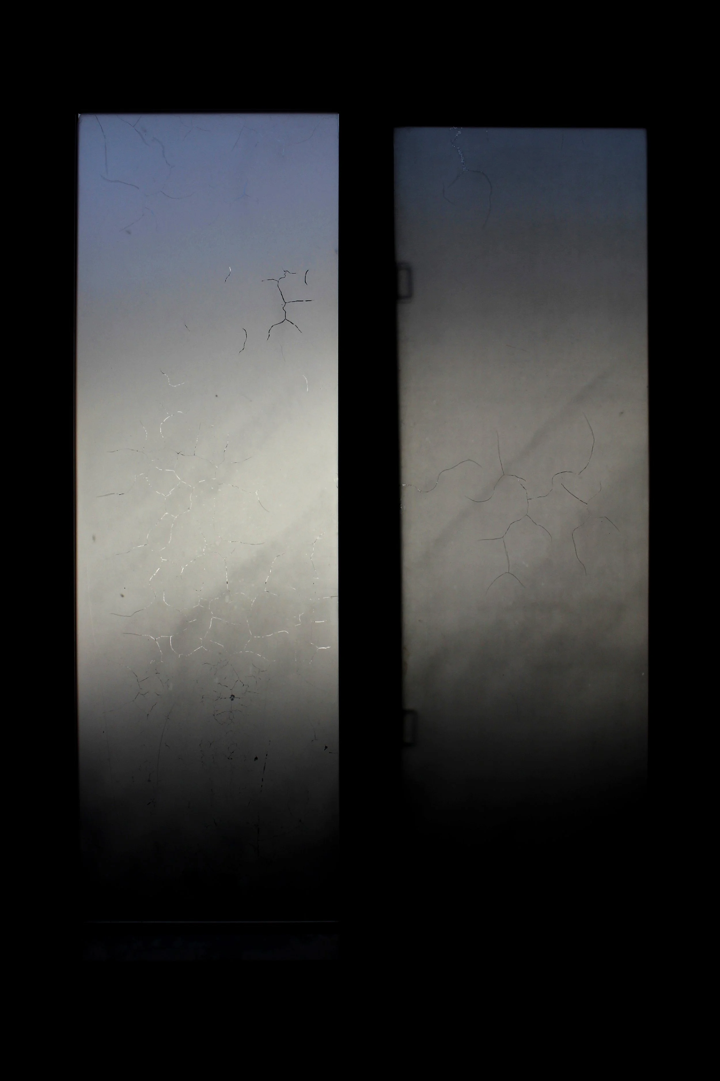The Window