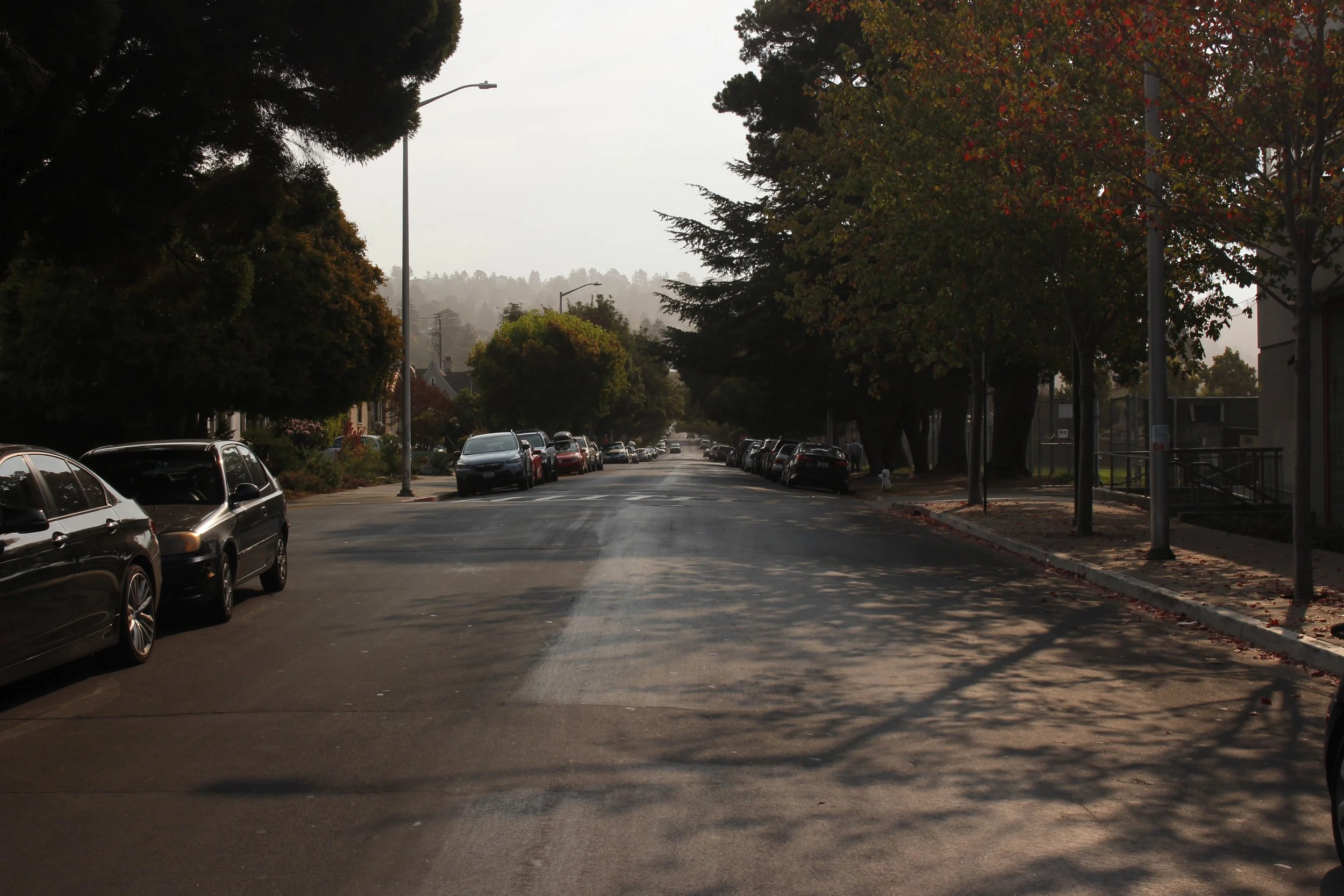 Thousands Oak Blvd