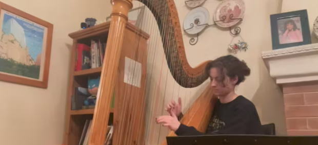 Two Guitars by L. Wood and S. MacDonald