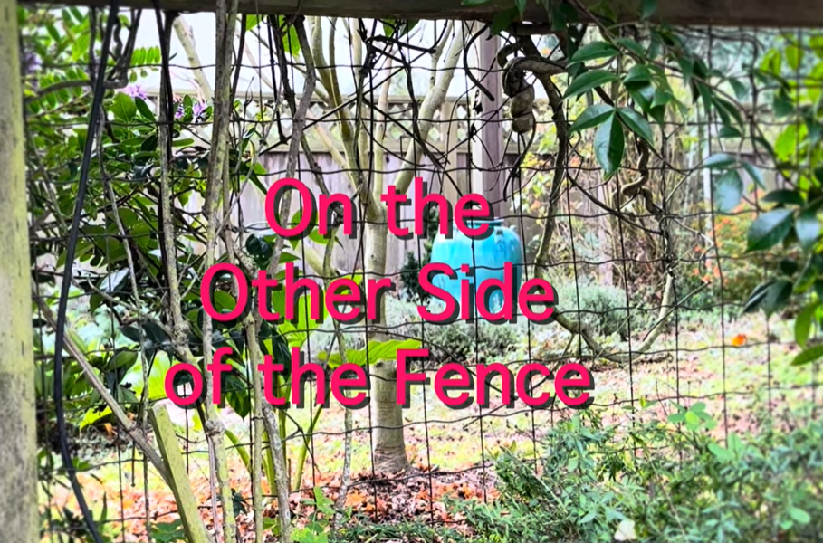 On the Other Side of the Fence: Visualization
