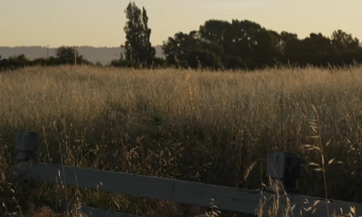 What Do We Have to Live For?