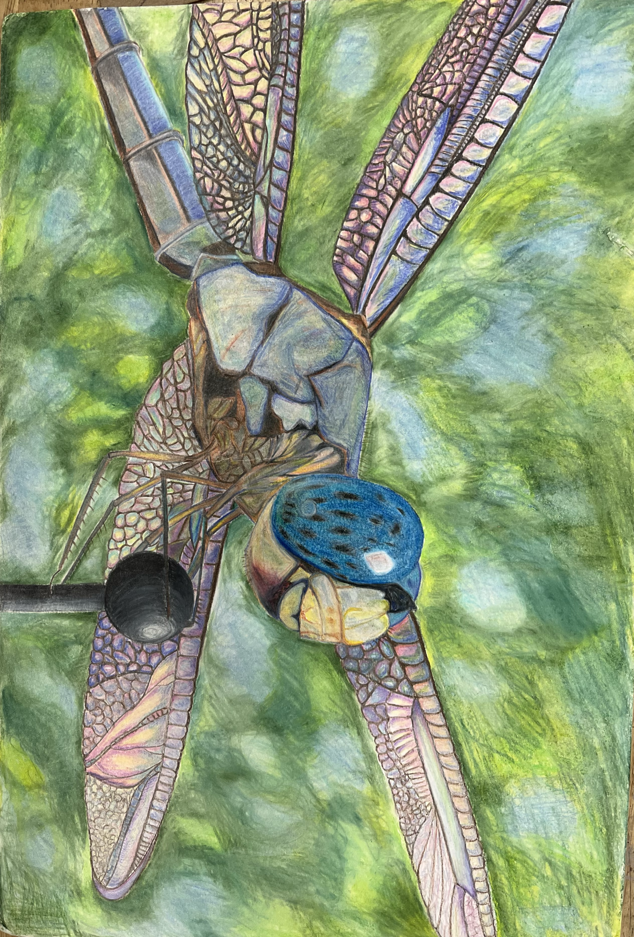Dragonfly