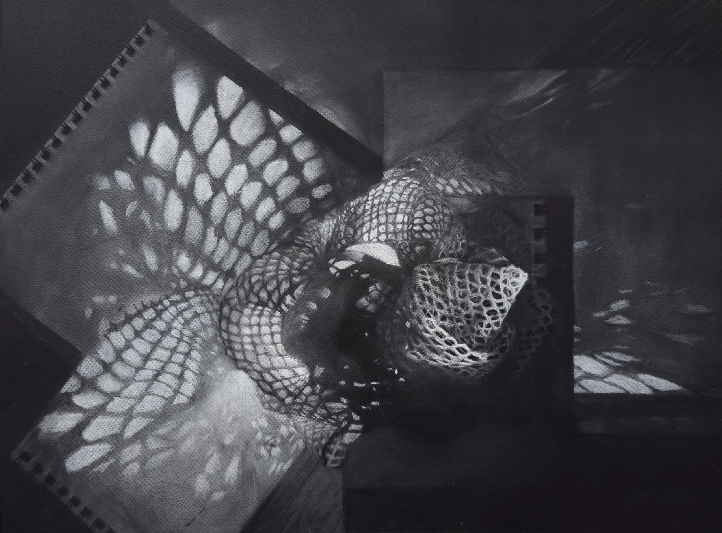 The Shape of Tenacity