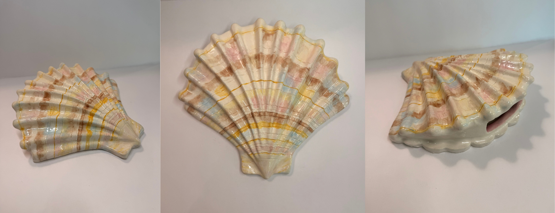 Wall Mounted Seashell Vase