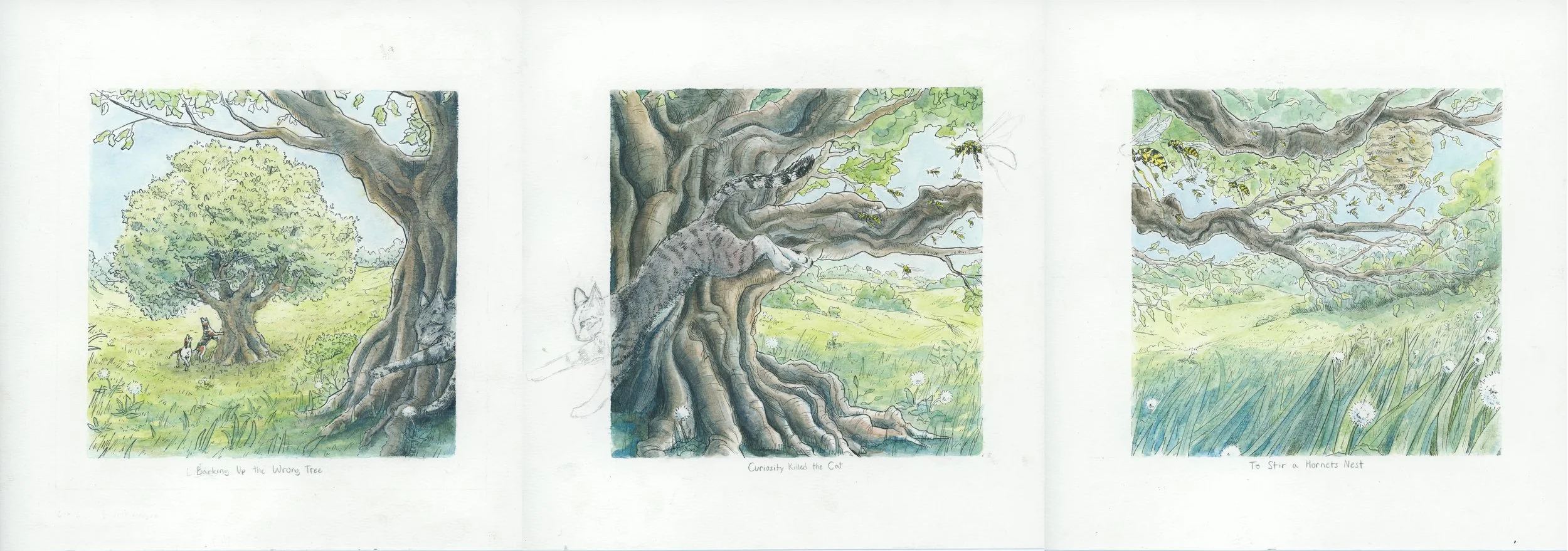 Rhetorical Landscape