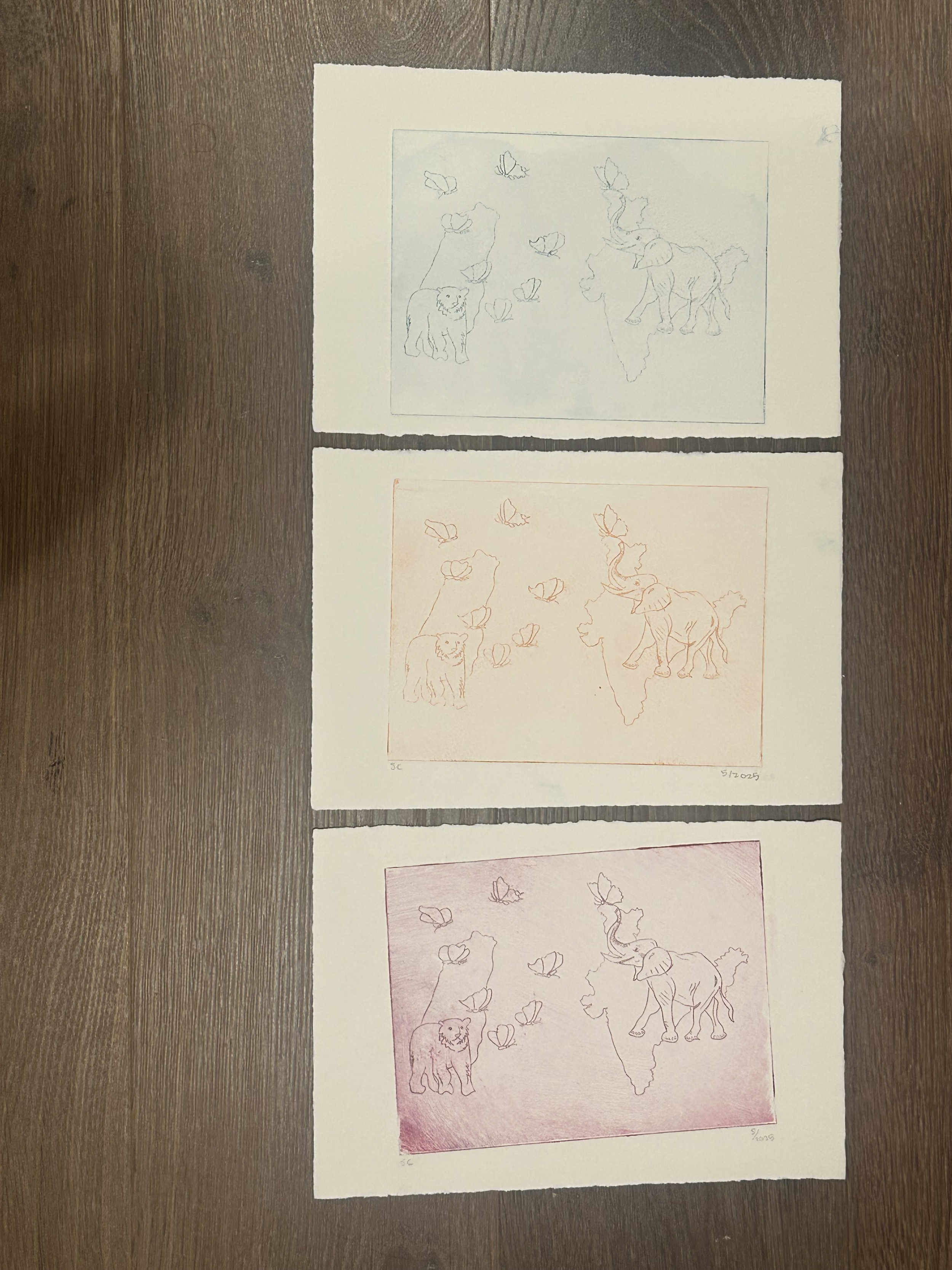 Transcending Borders