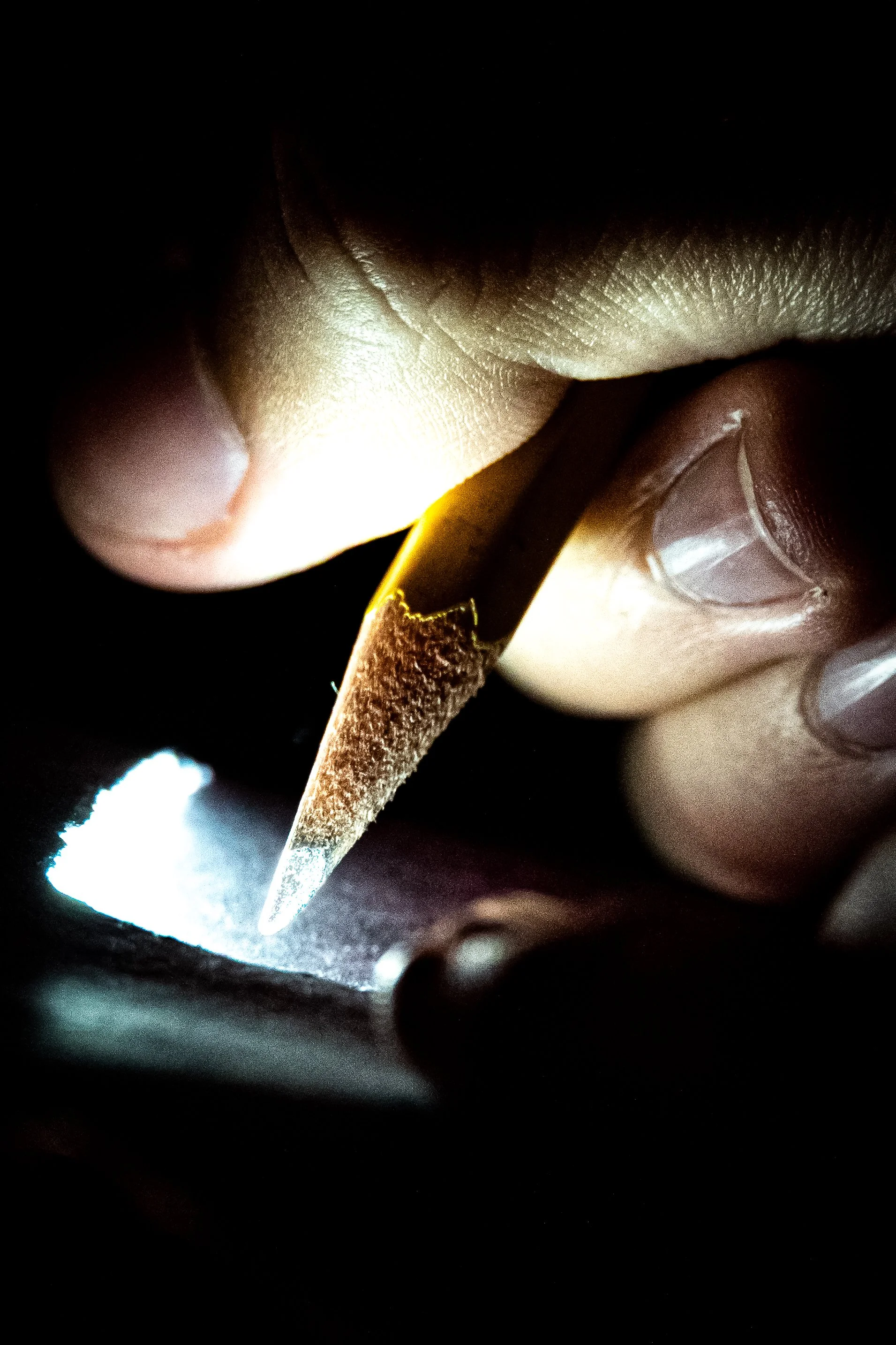 Drawing With Light