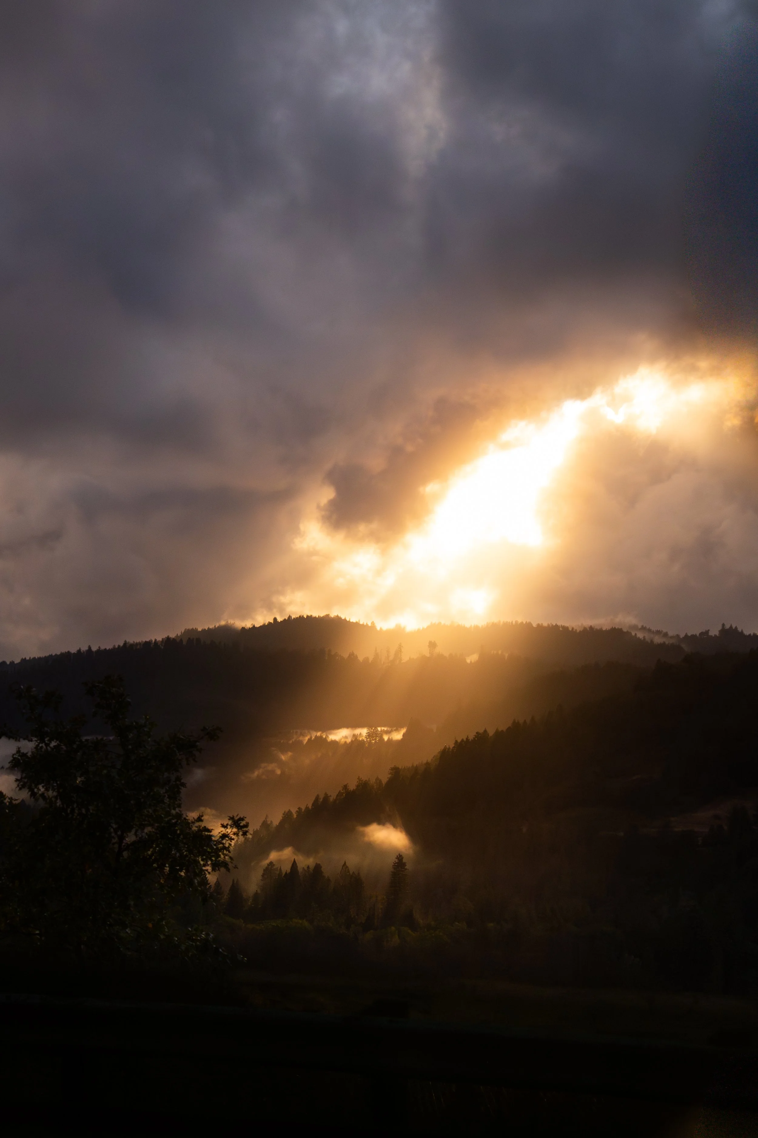 Golden Awakening