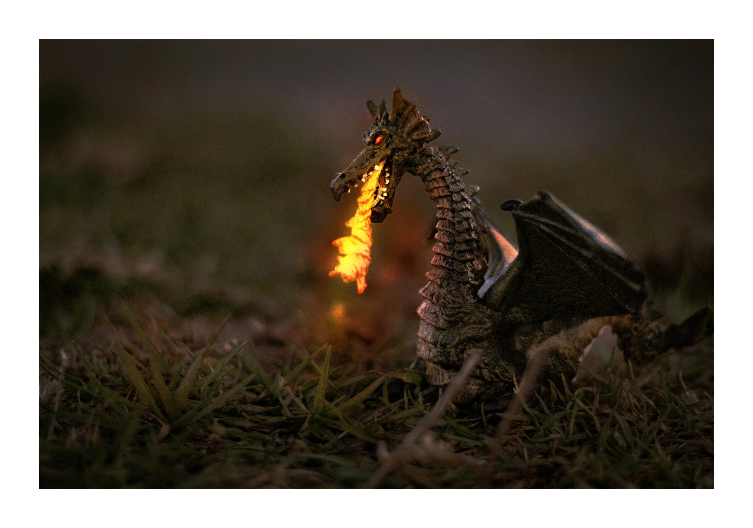 Dragon