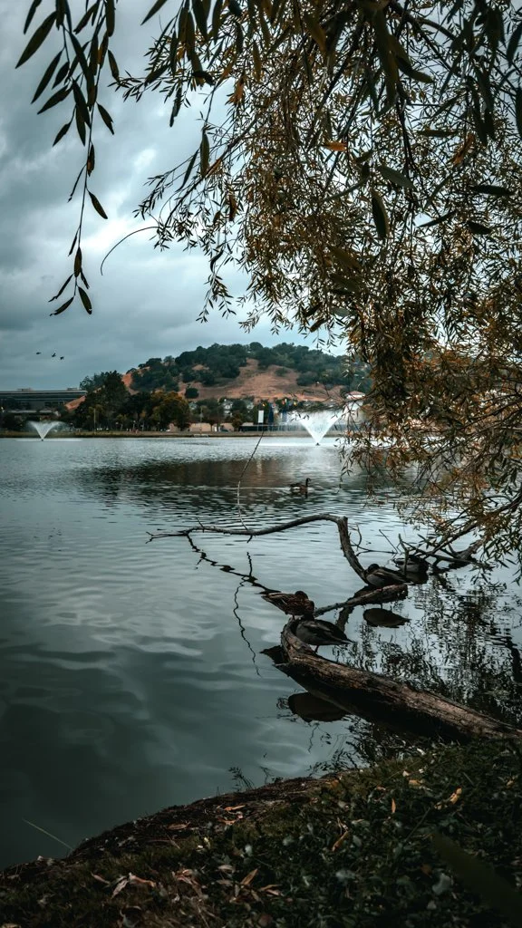 Where Silence Rests