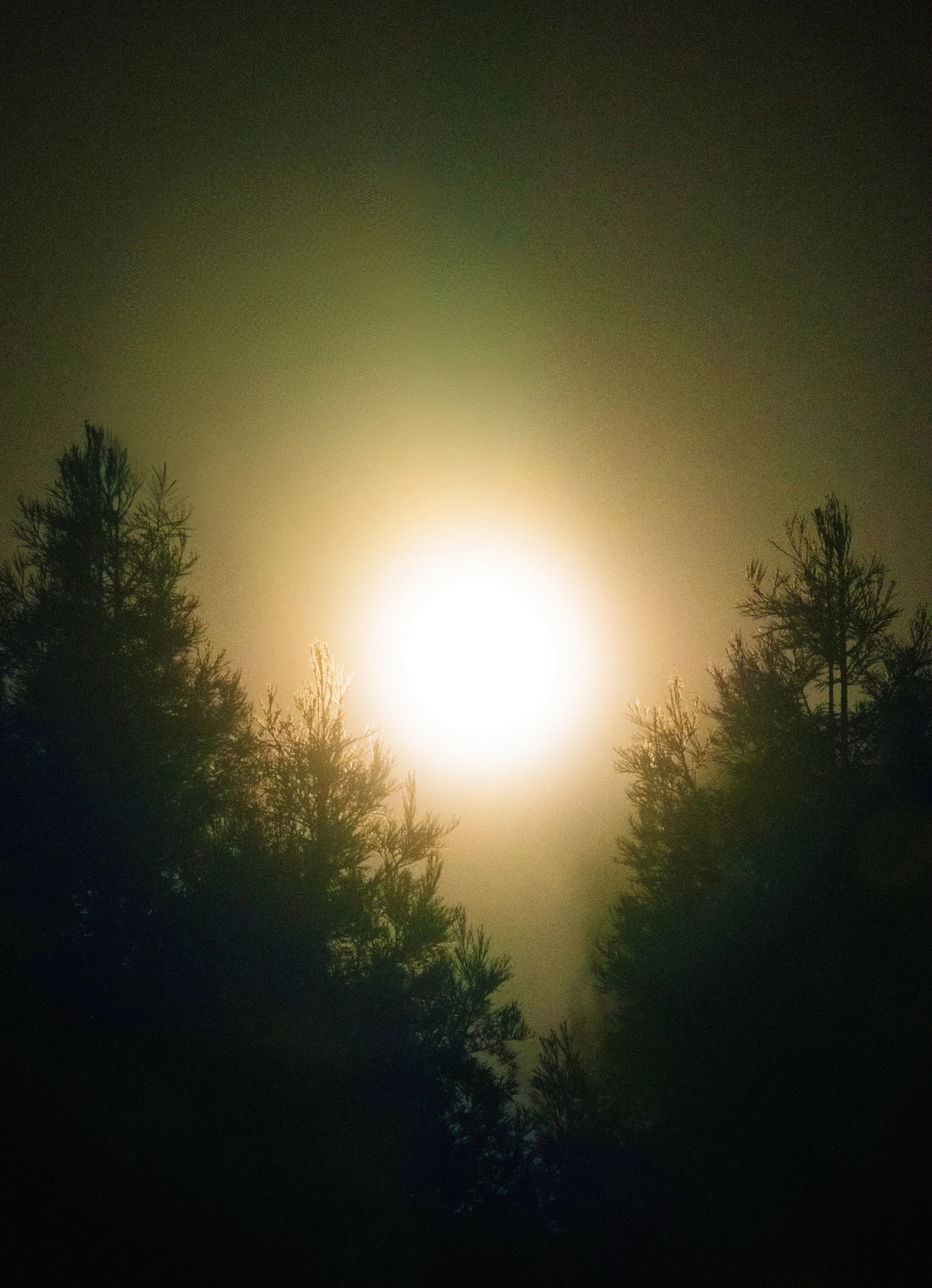 Everglow