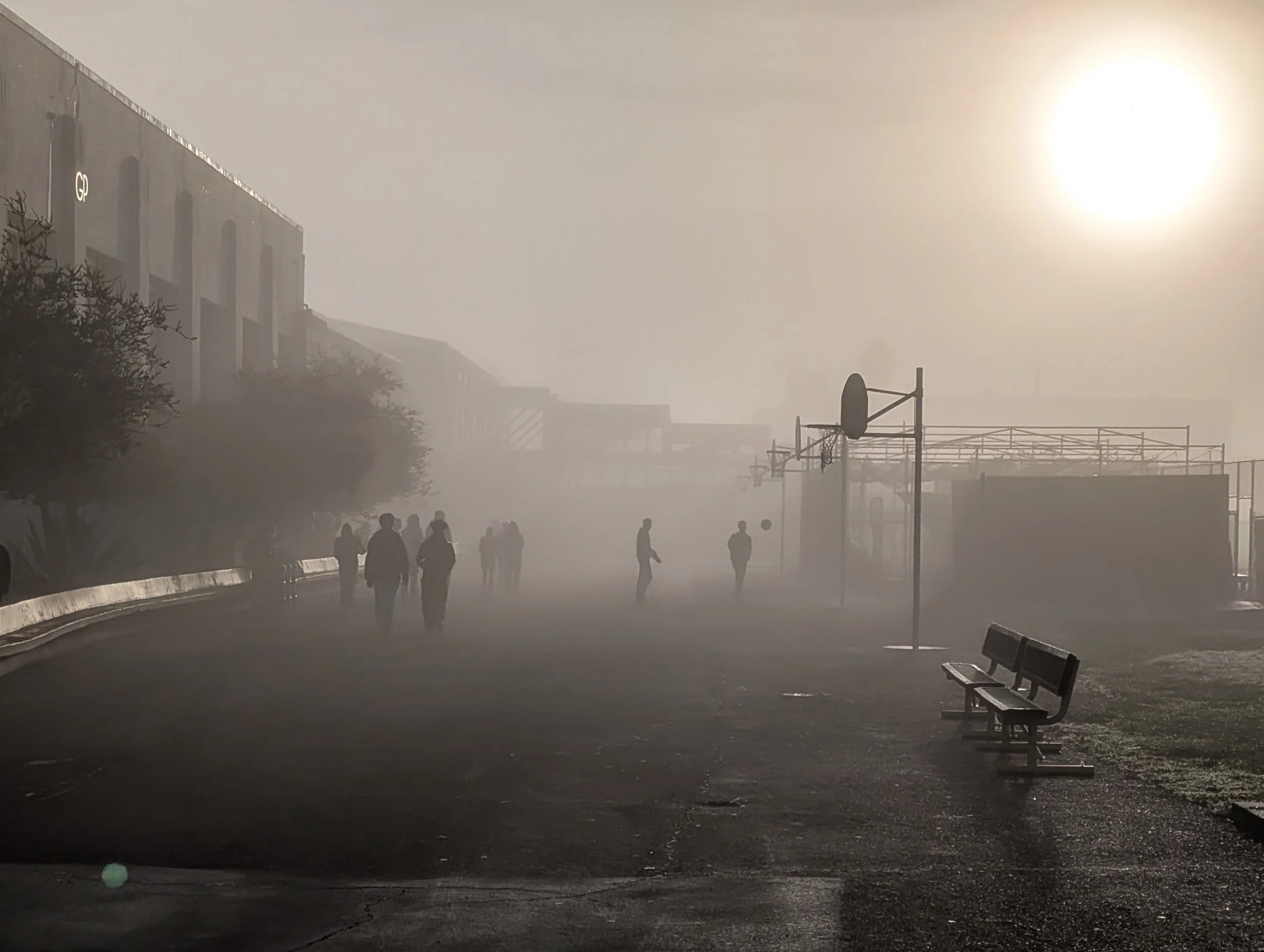 Foggy Day