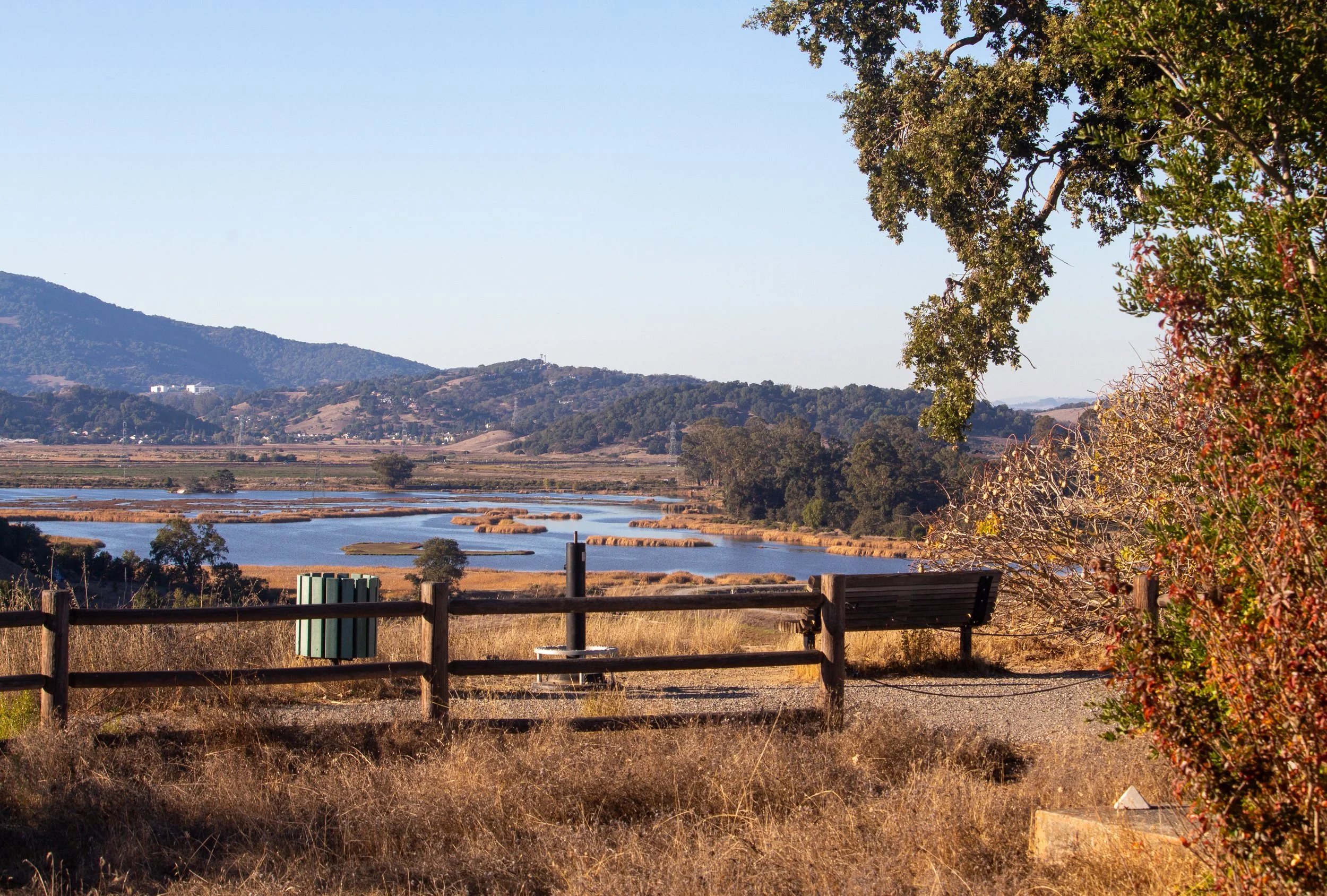 Sunset In The Wetlands