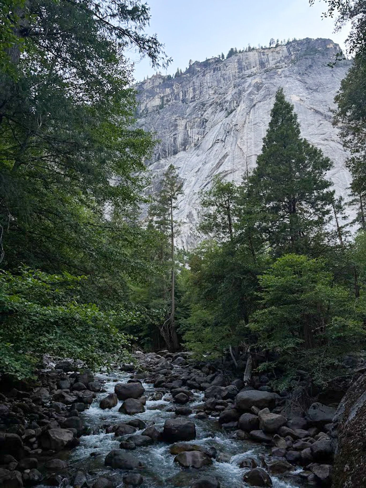 The Yosemite Wilderness
