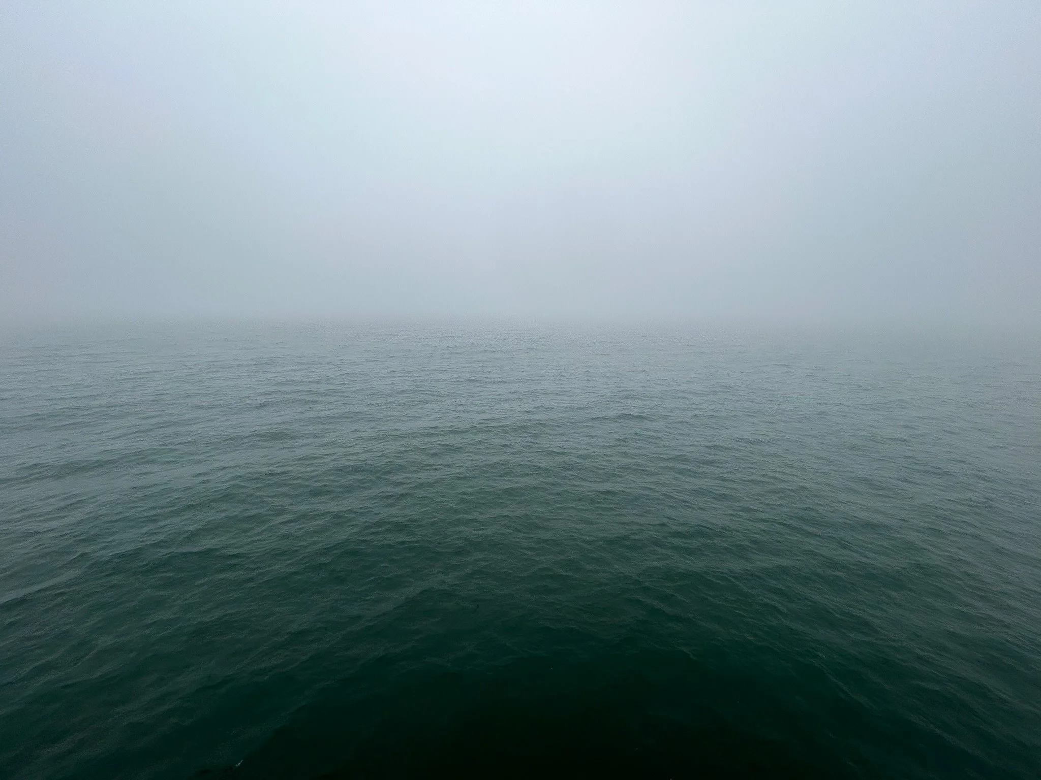 Foggy Ocean
