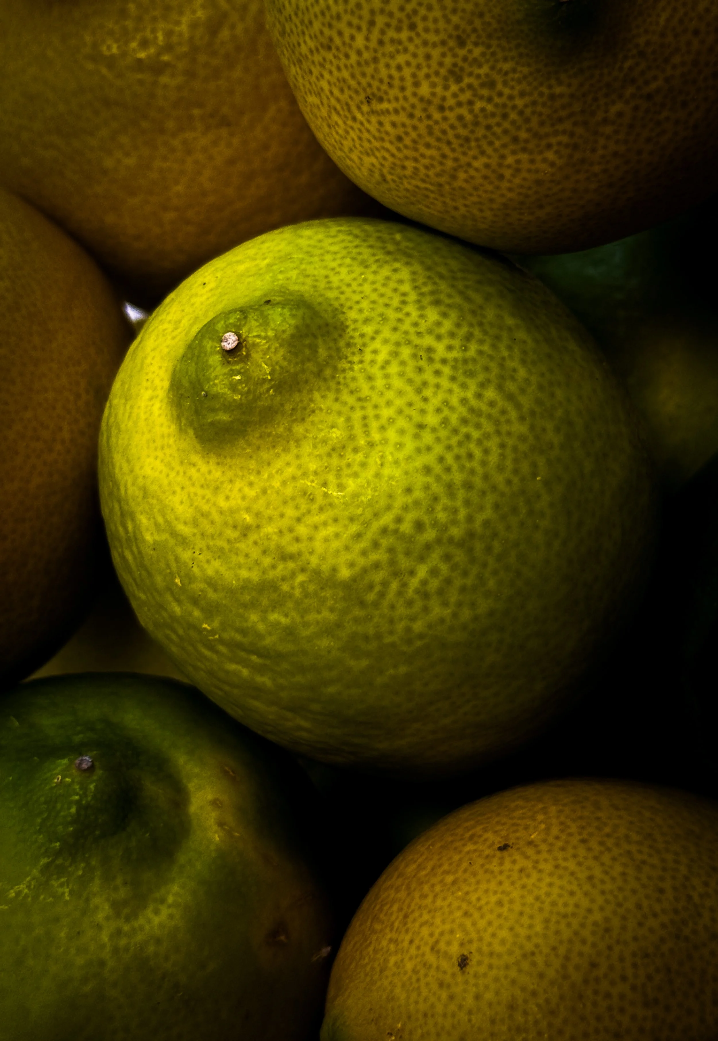 When Life Gives You Lemons