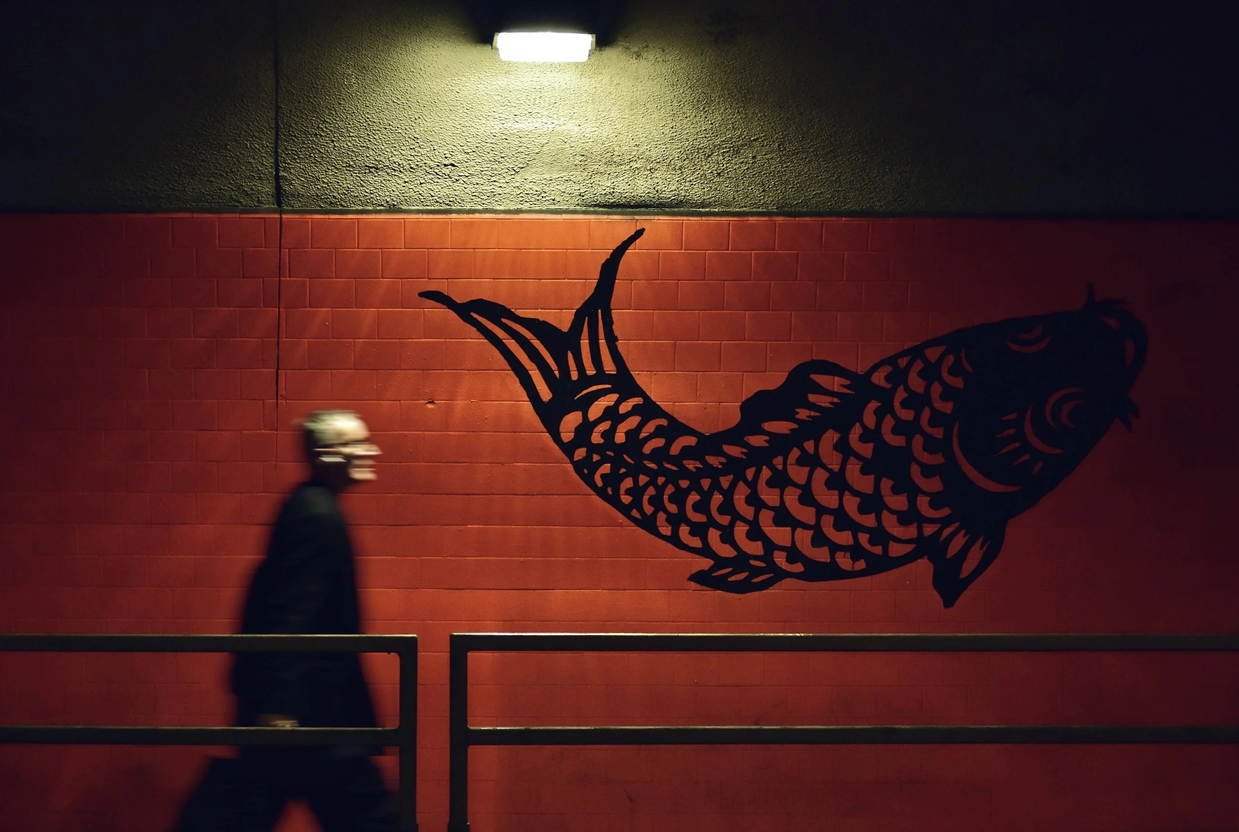 The Red Wall and the Fish