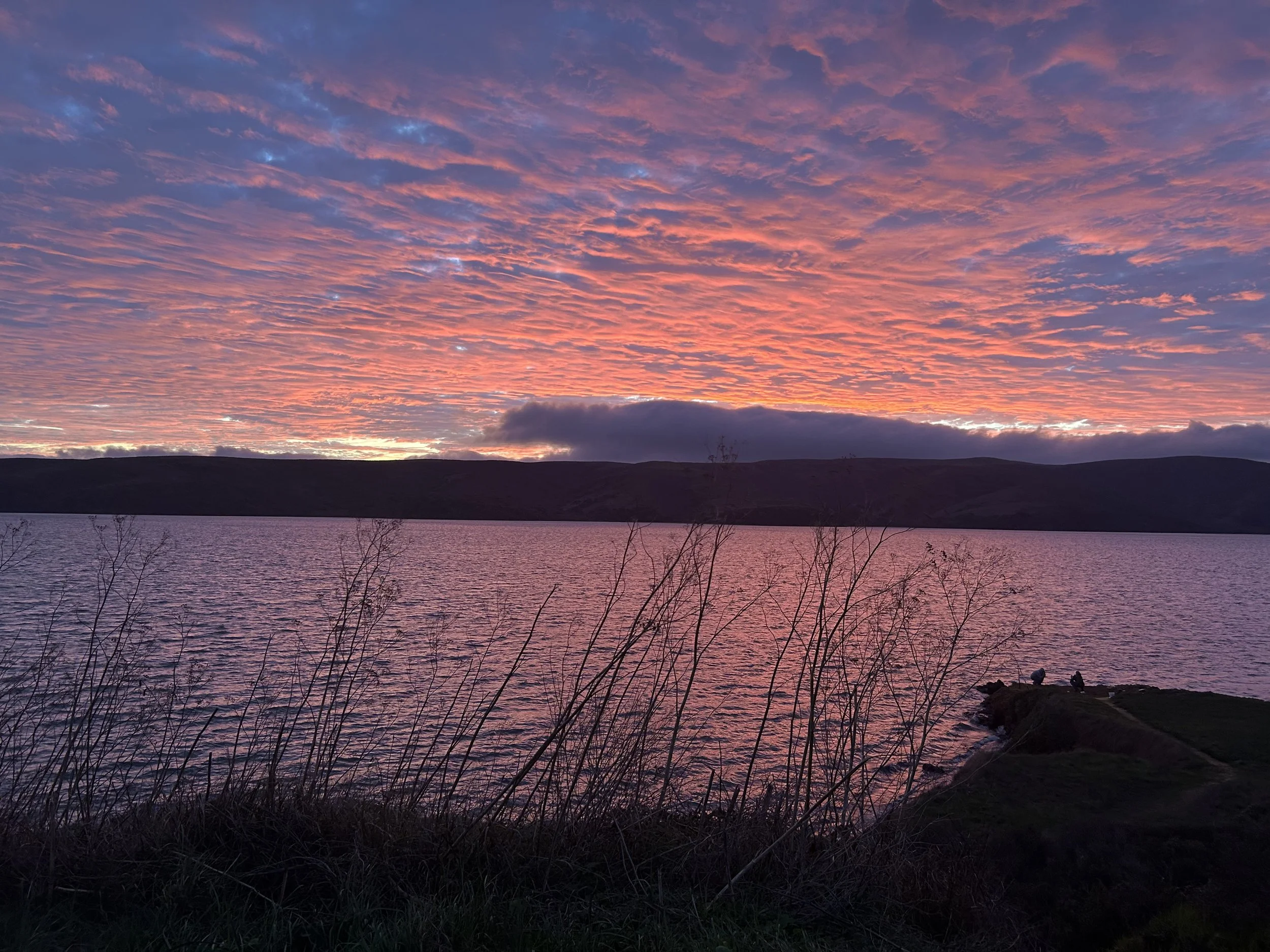 Everyone’s final sight