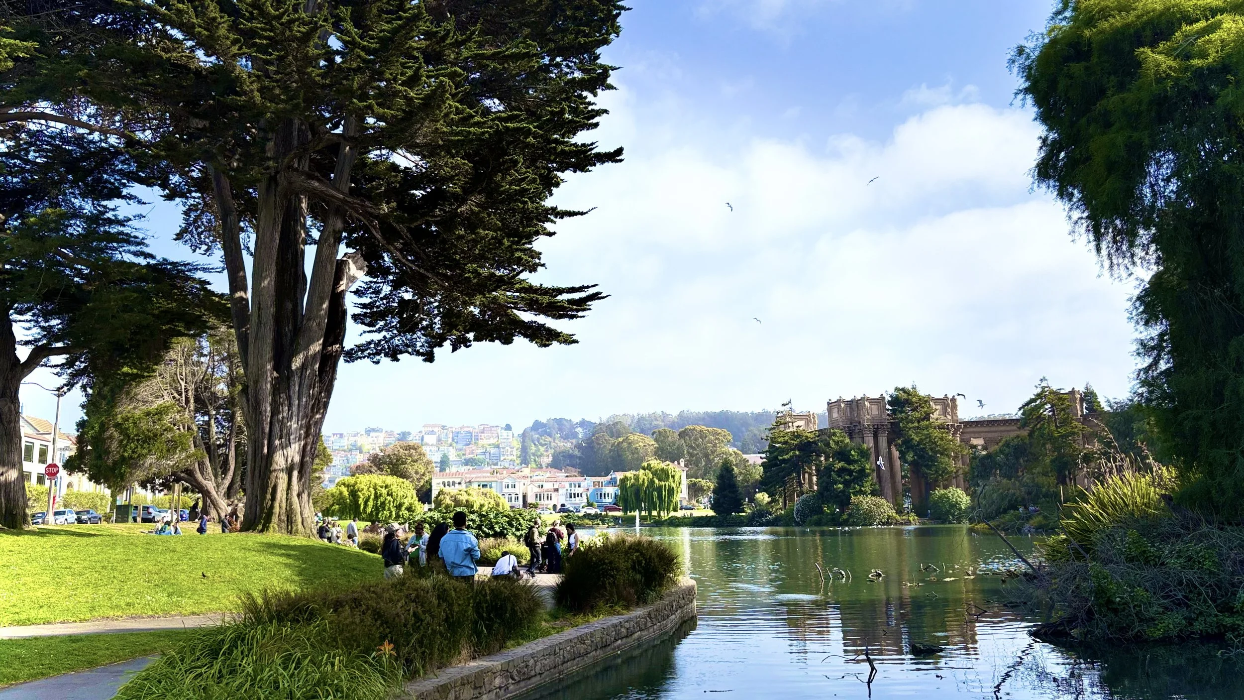 Where The City Breathes