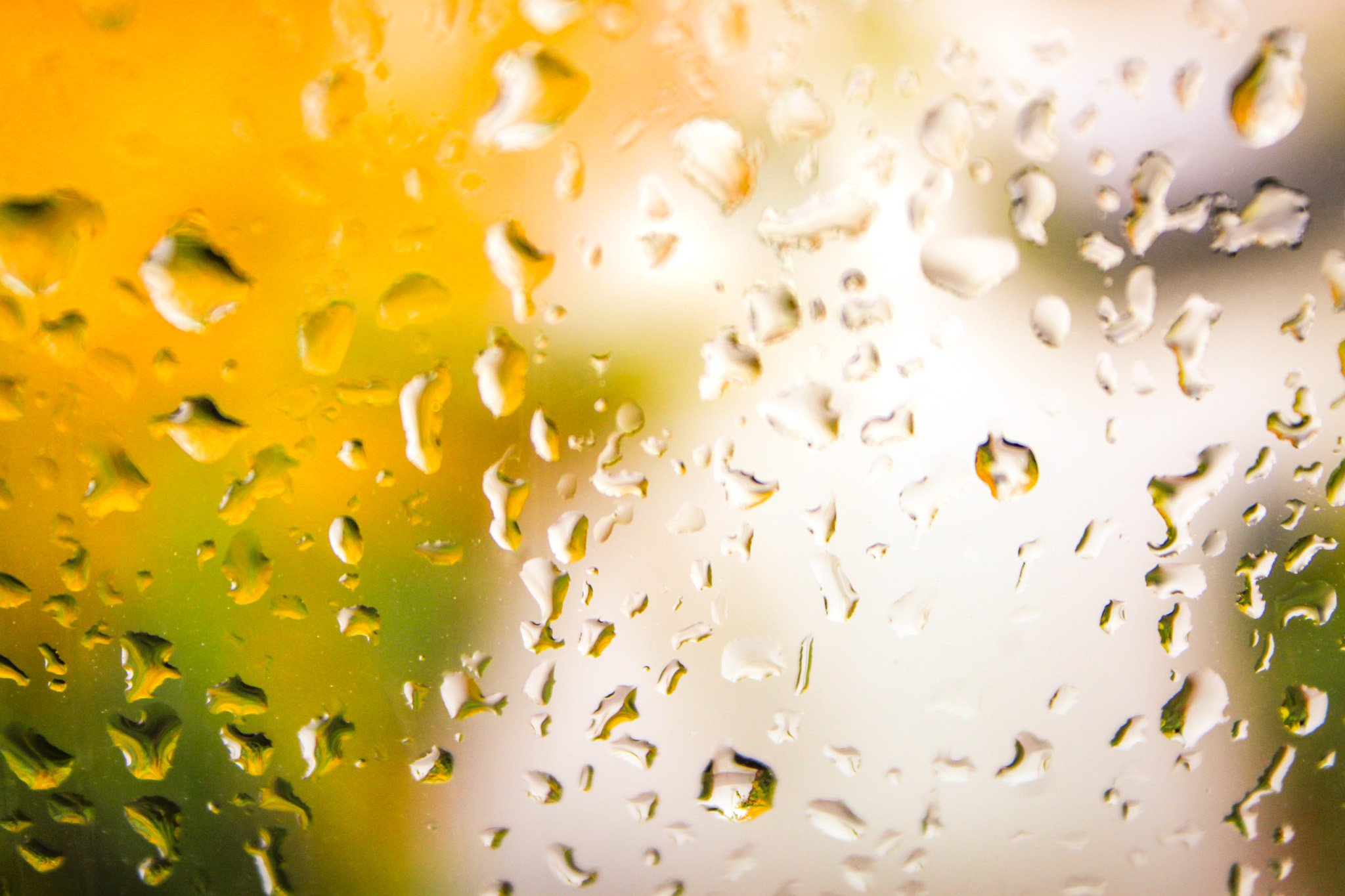 Sunshine in the window