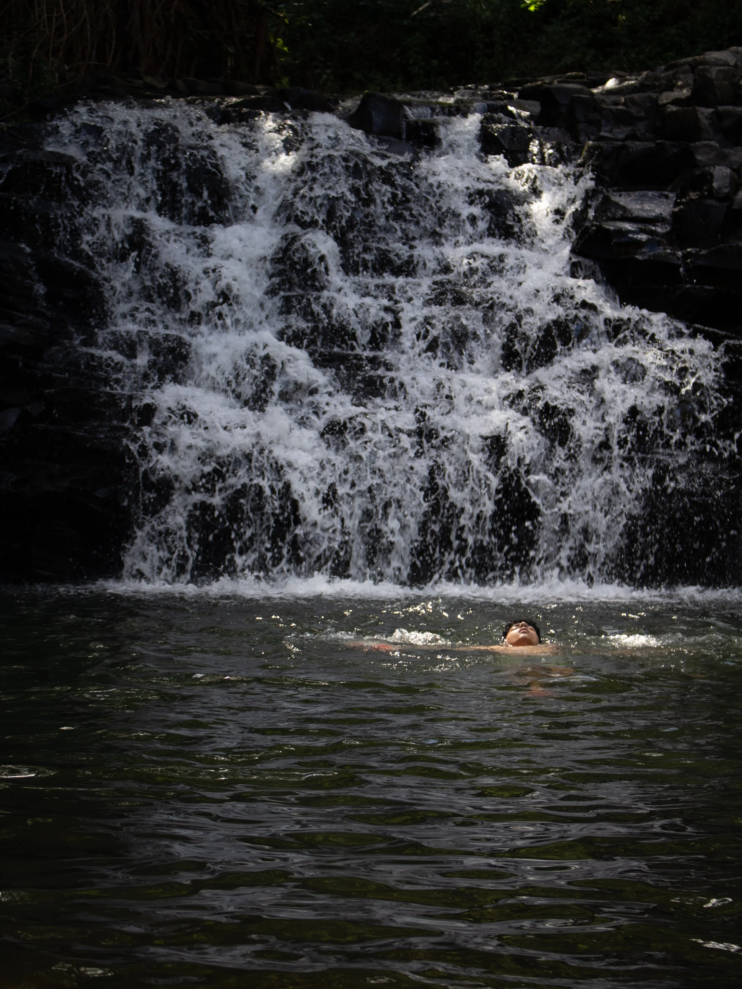 The Sun Will Find You