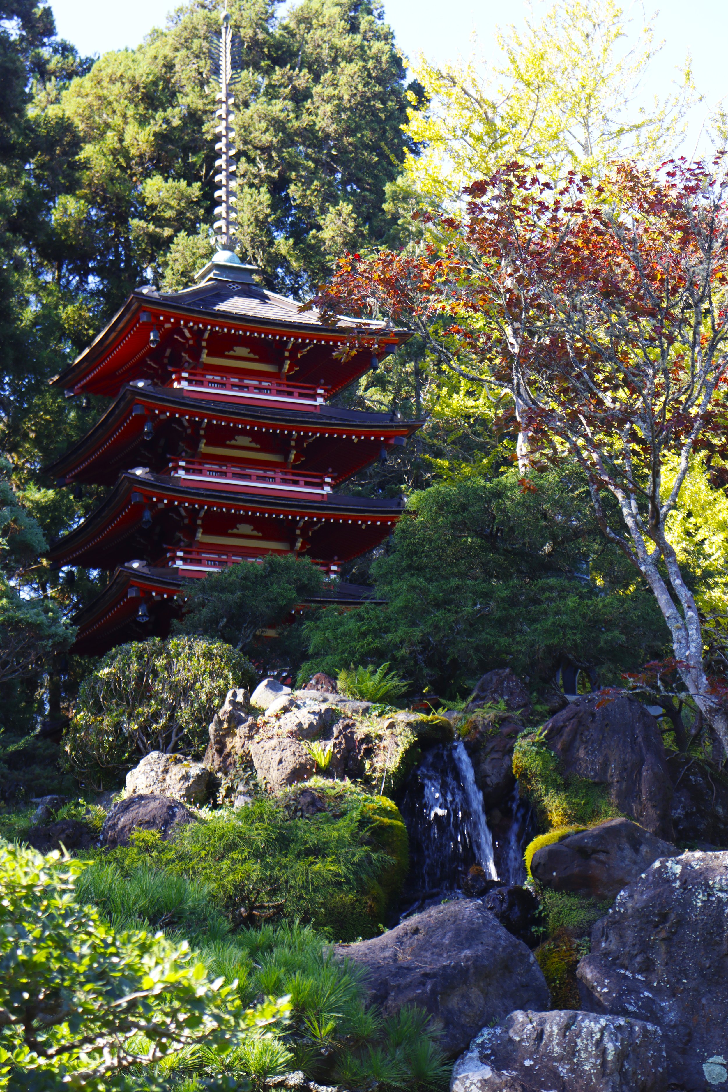 Japan Garden