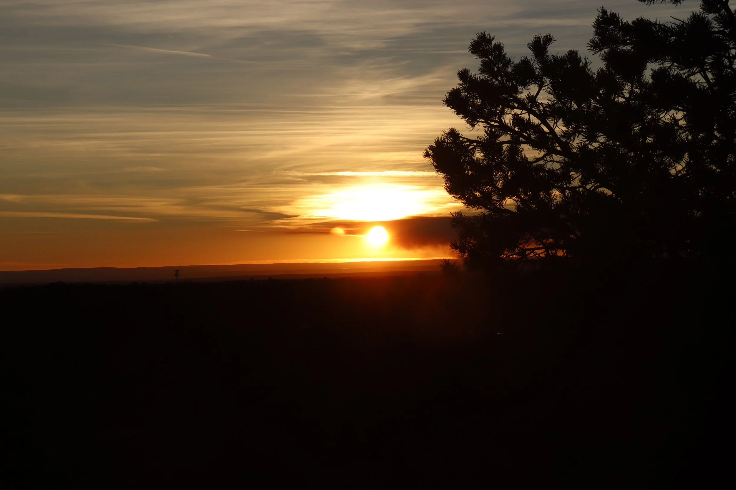 Arizona Sunset Silhouette