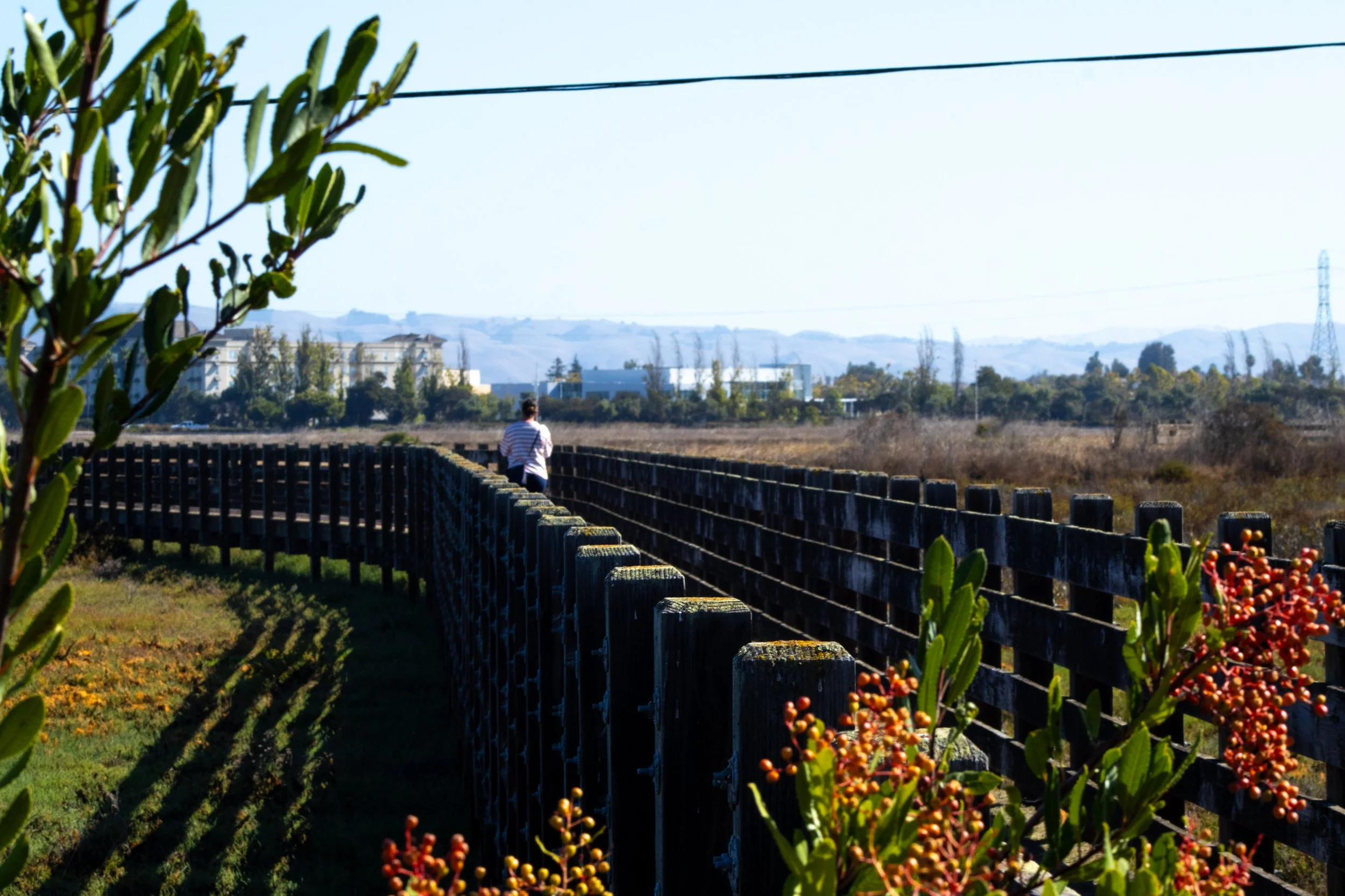 Lines Leading to the Beginning