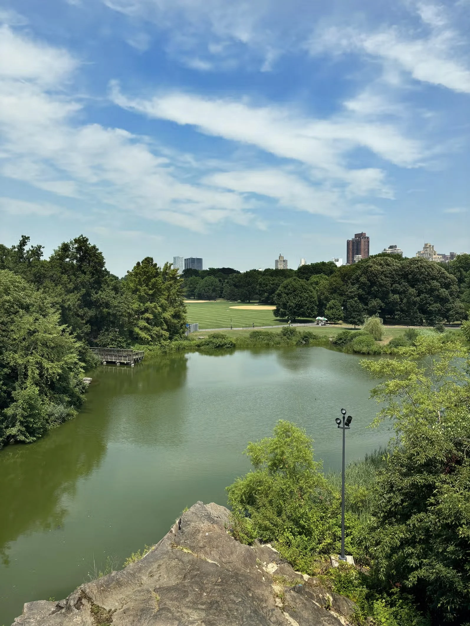 Serenity in Central Park