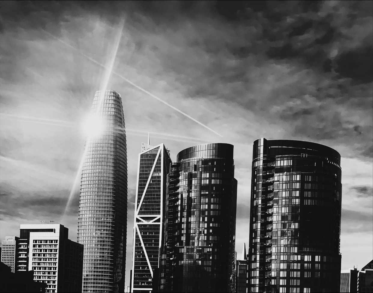 Metamorphosis at the Peninsula’s Edge