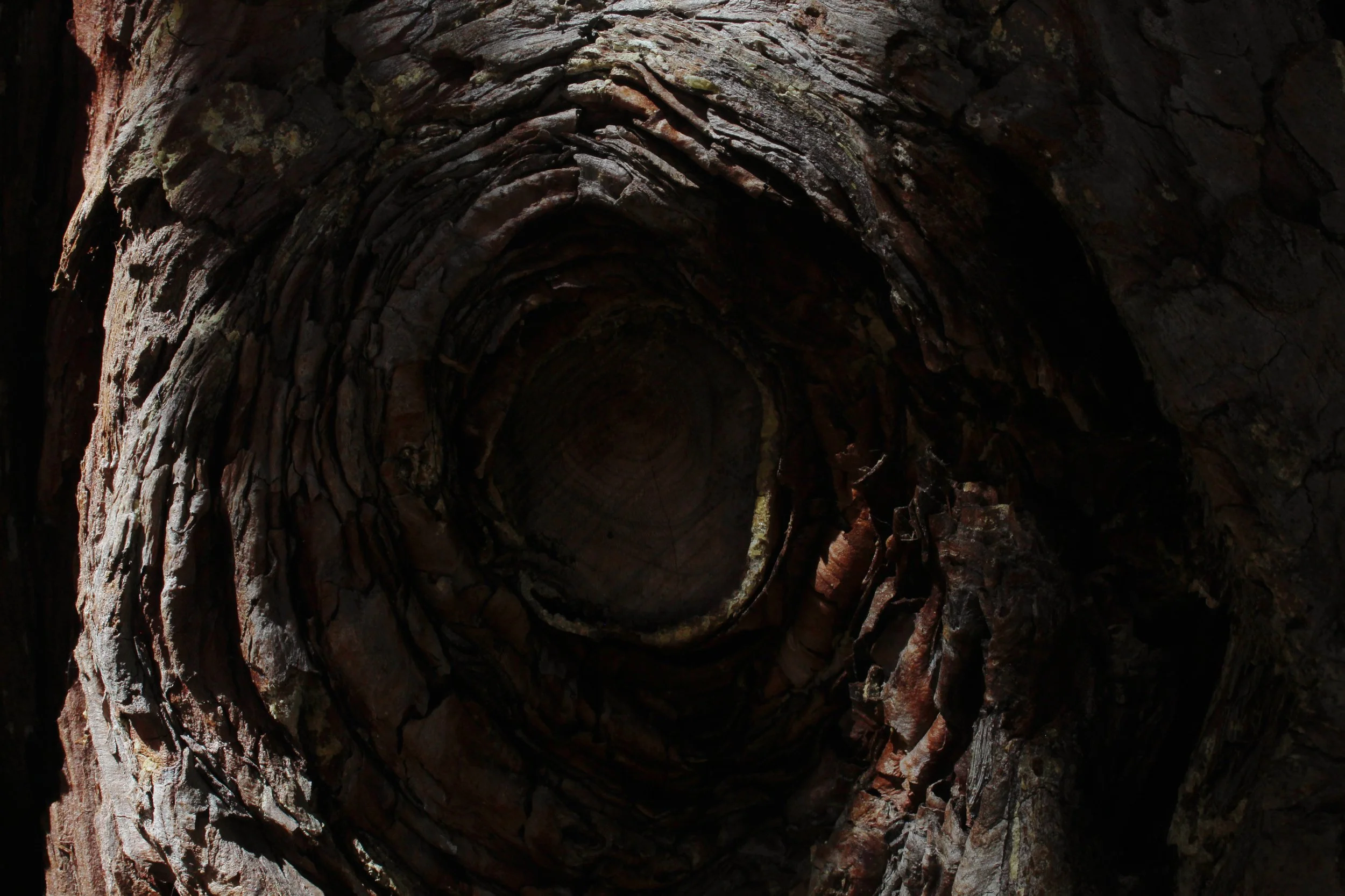 Dark Side of The Moon