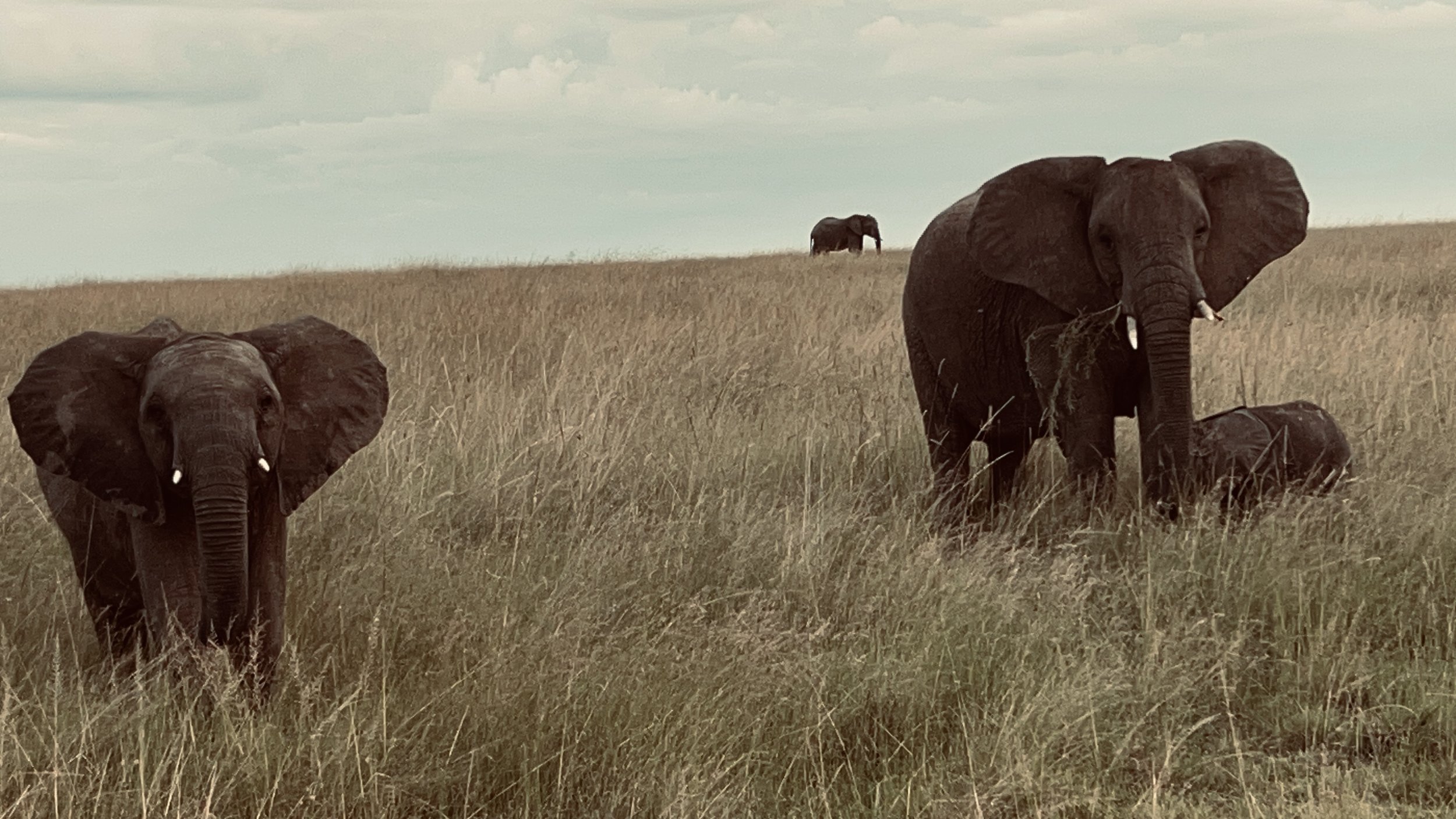 Mother nature in the Maasai Mara