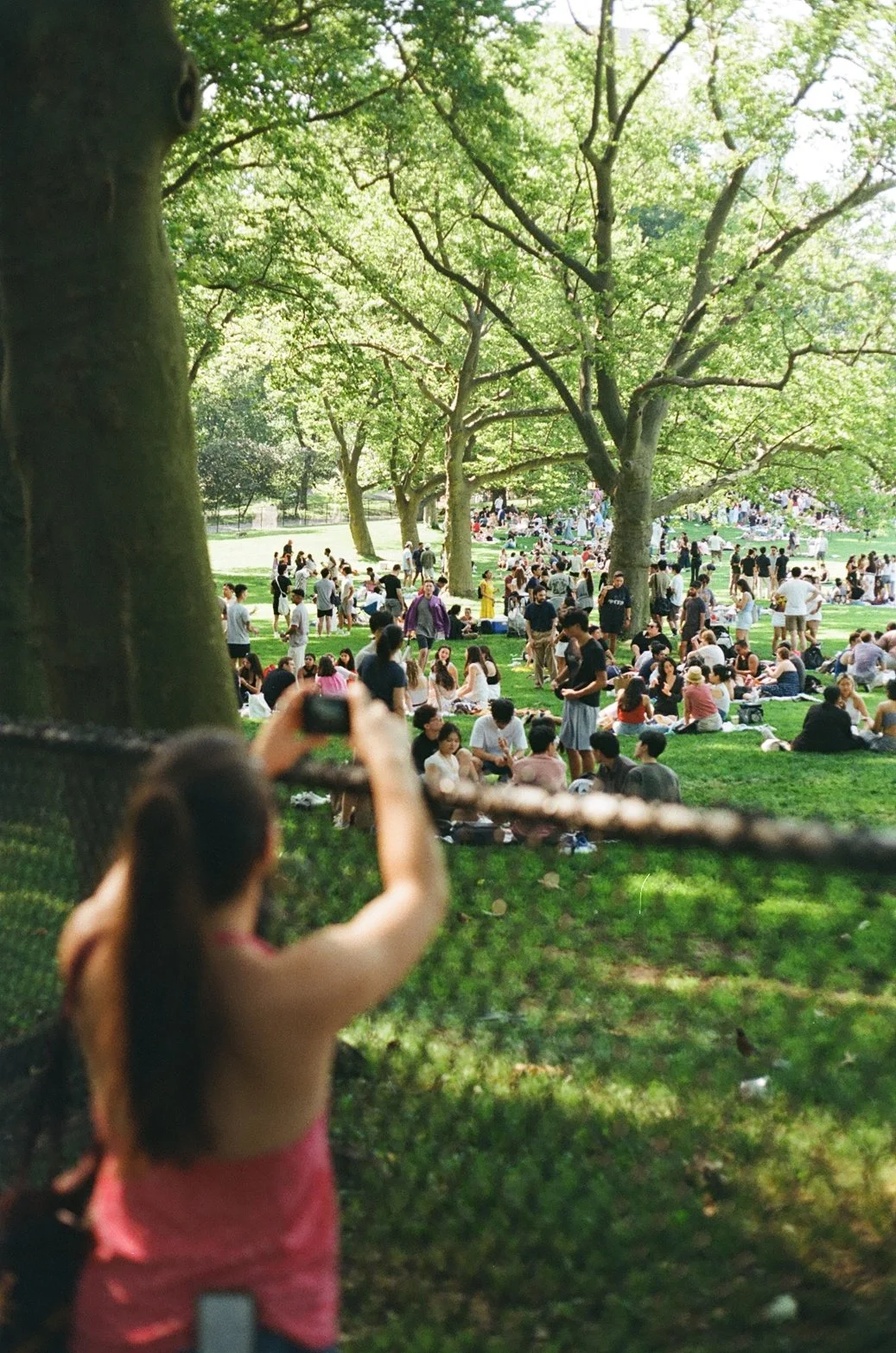 Central Park on a Sunday