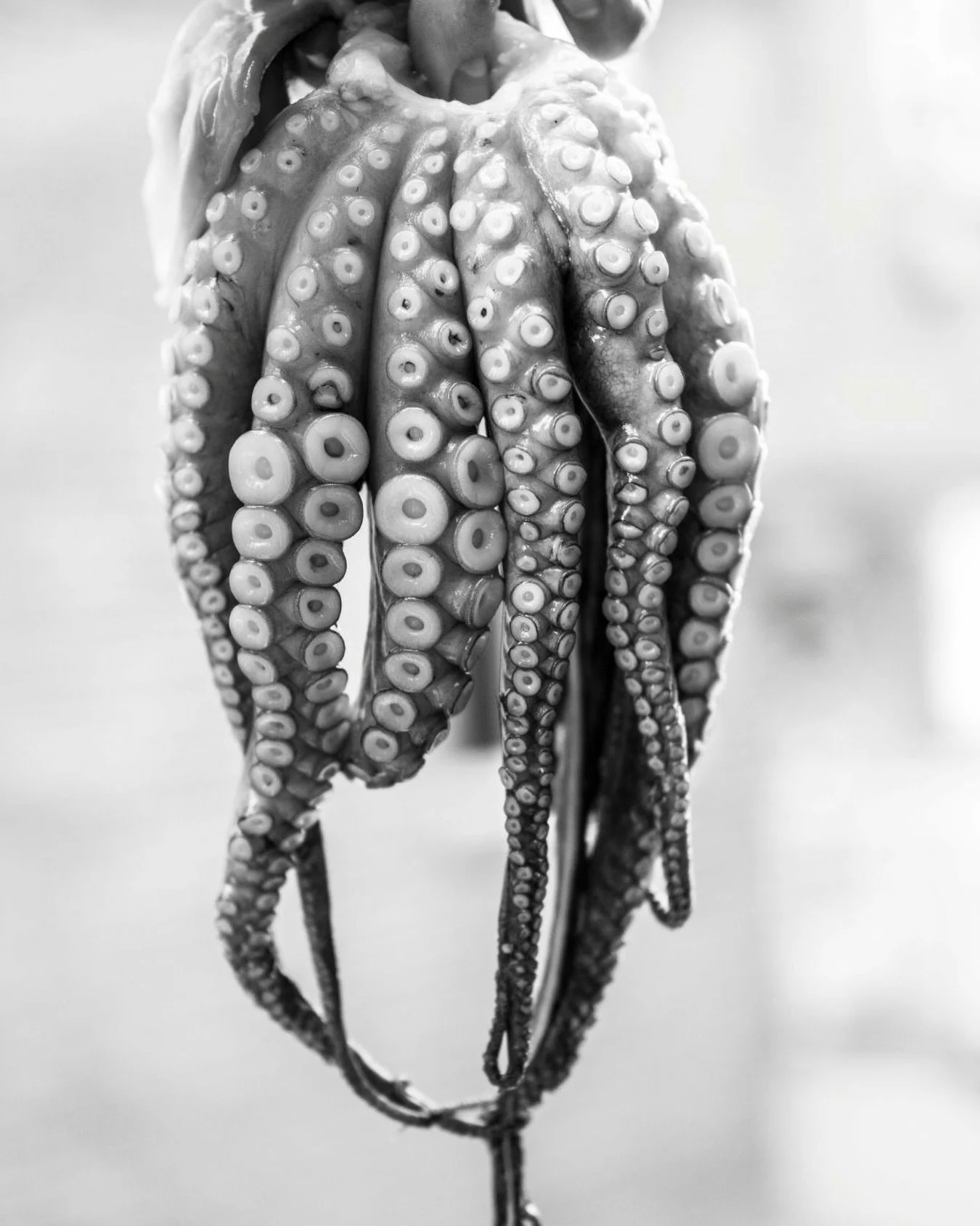 Where the taste of the Mediterranean meets the spirit of the Greek coast. Moorings invites you to slow down, savor, and enjoy the beauty of simple, honest cuisine.

#moorings #mooringsmoments #mediterraneancuisine