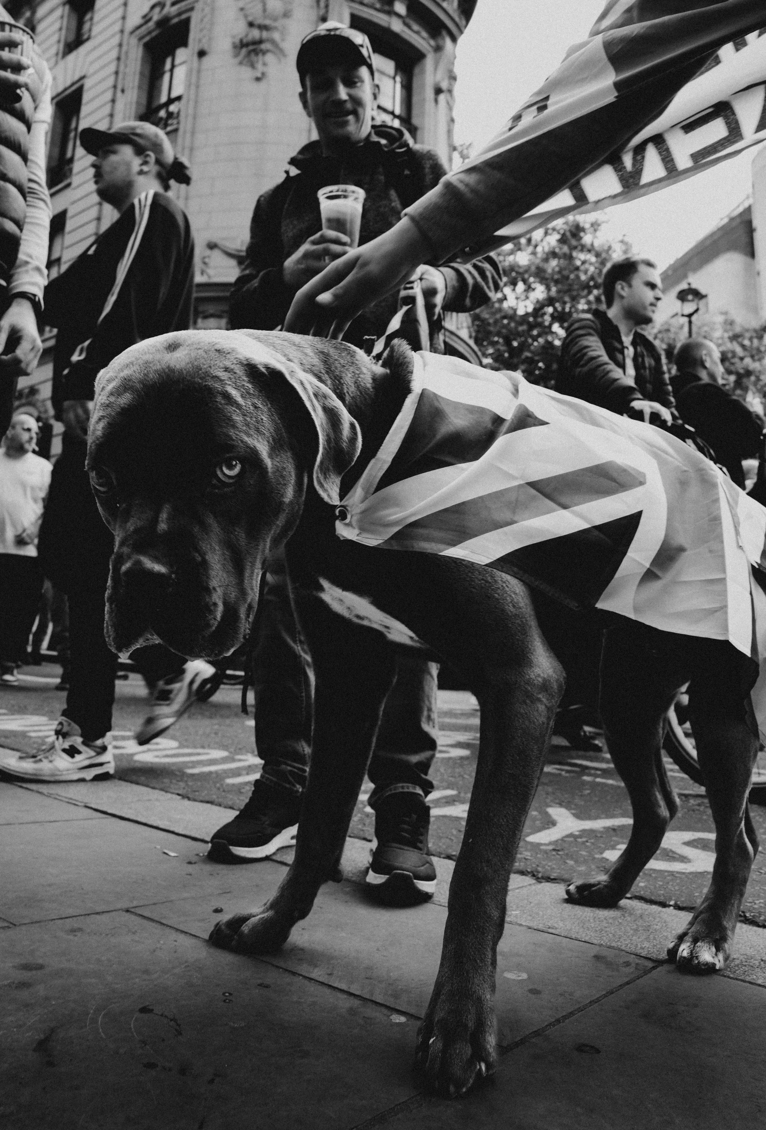 protest edit 3-10.jpg
