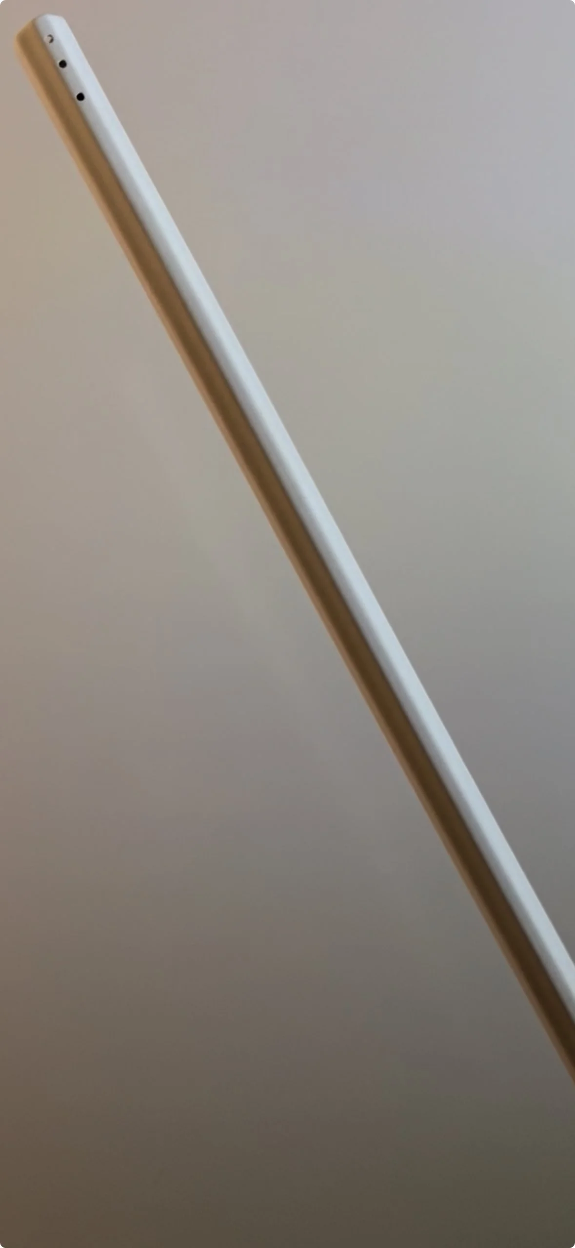 IMG_3311.jpeg
