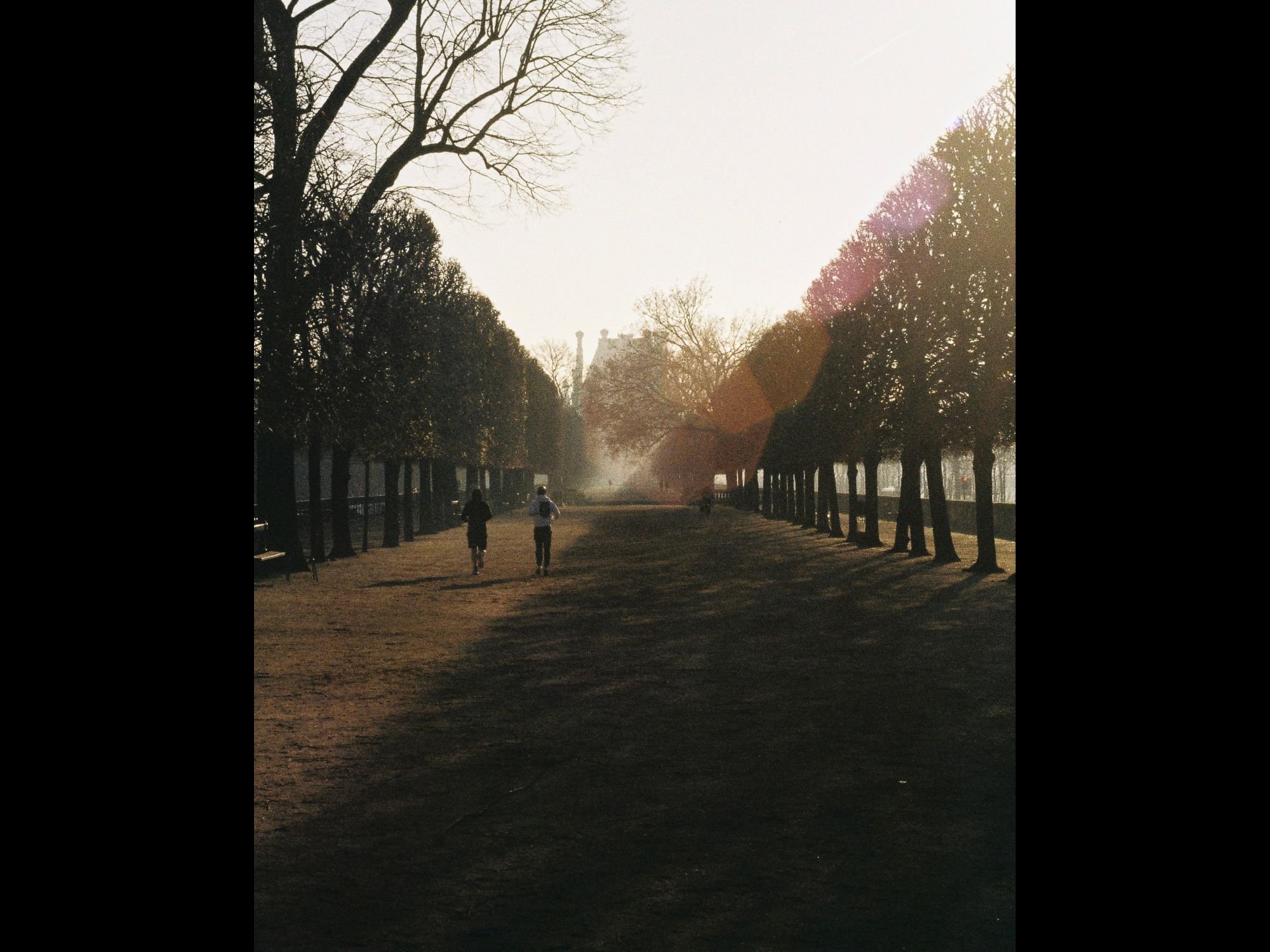Morning Run, Paris, 2023