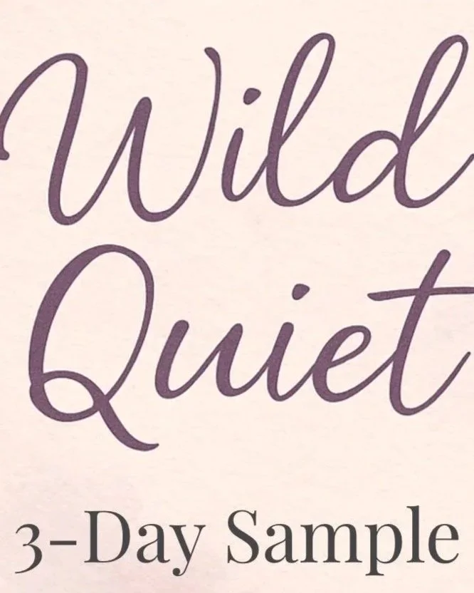 Text that reads "Wild Quiet 3-Day Sample" on a light pink background.