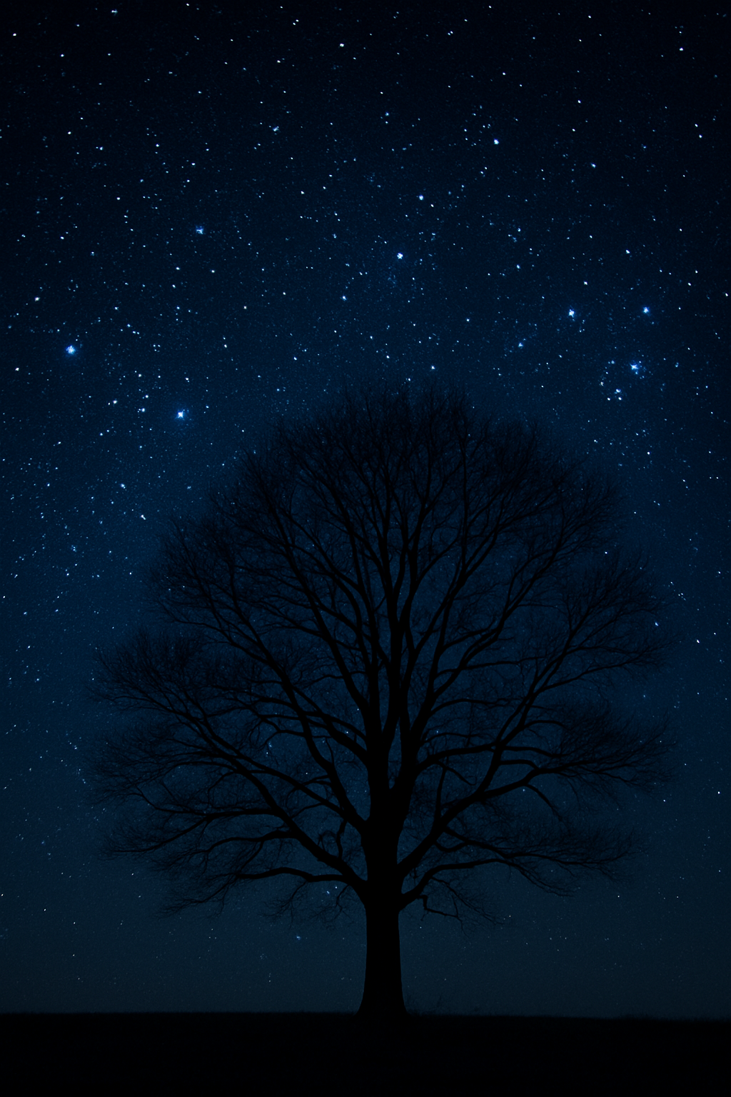New Moon Invitation: Begin Again