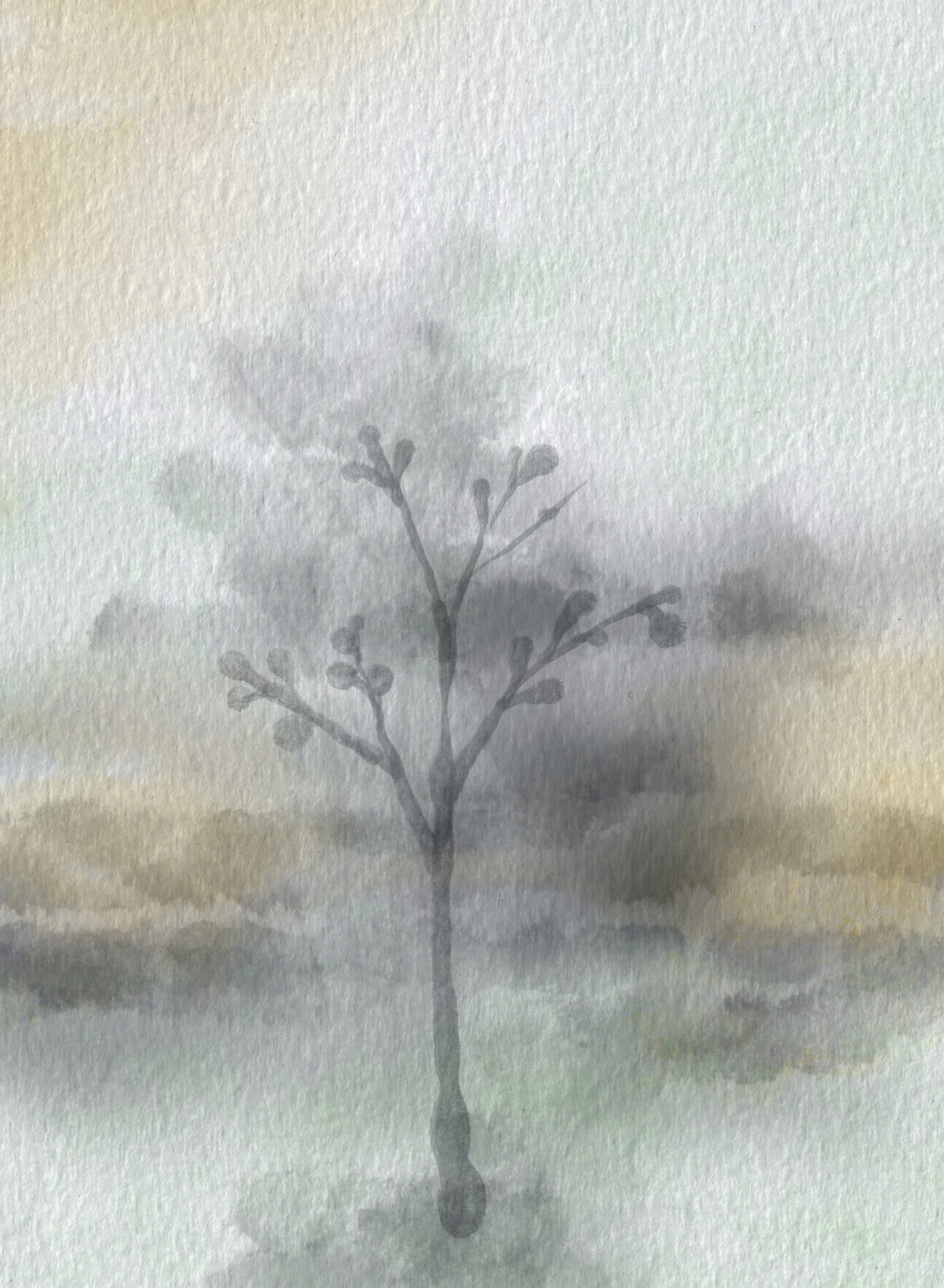 Post 15 - What We Risk by Being Seen - 2/20/’26