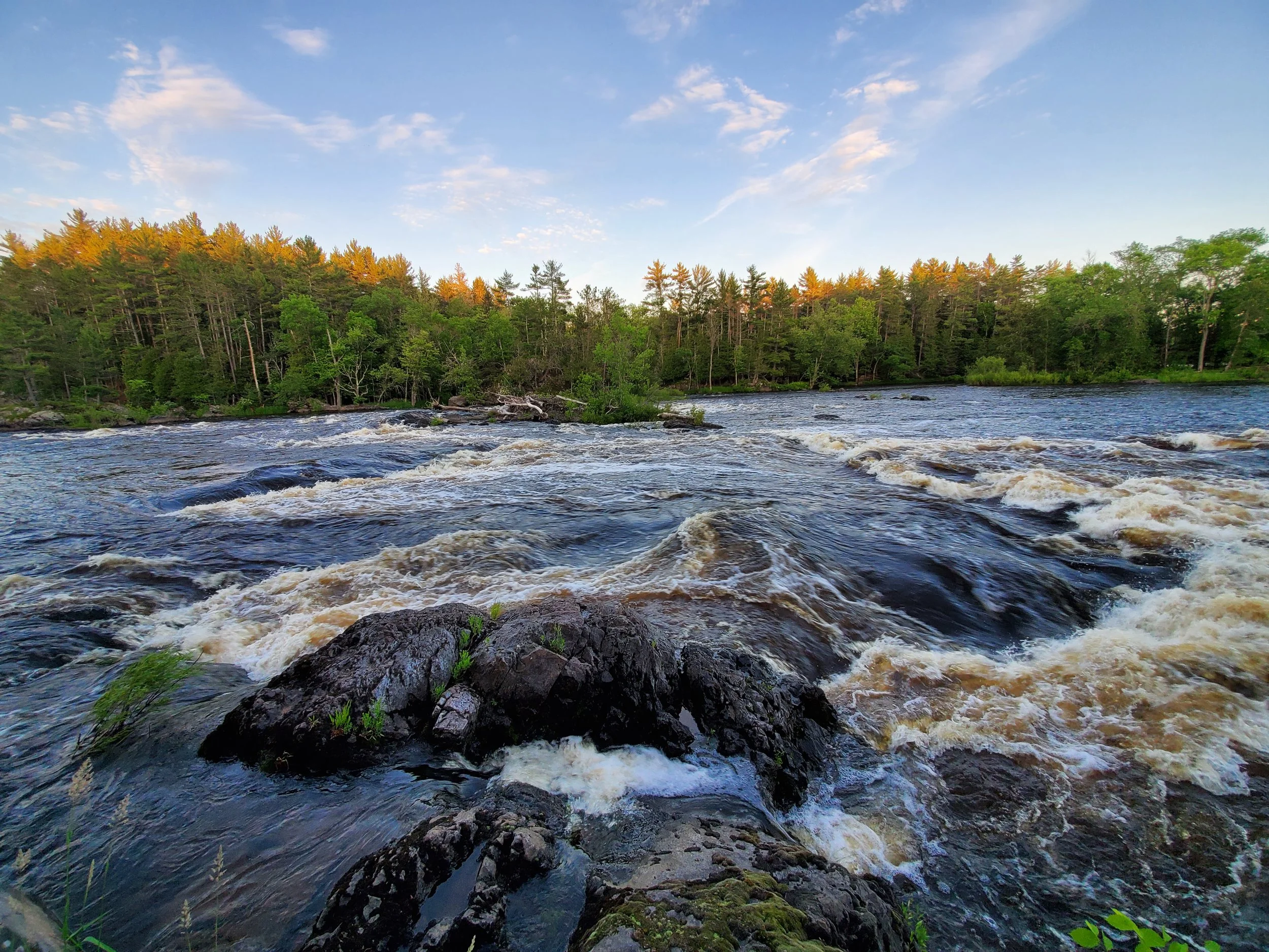 Why Small Acts of Kindness Create Big Ripples