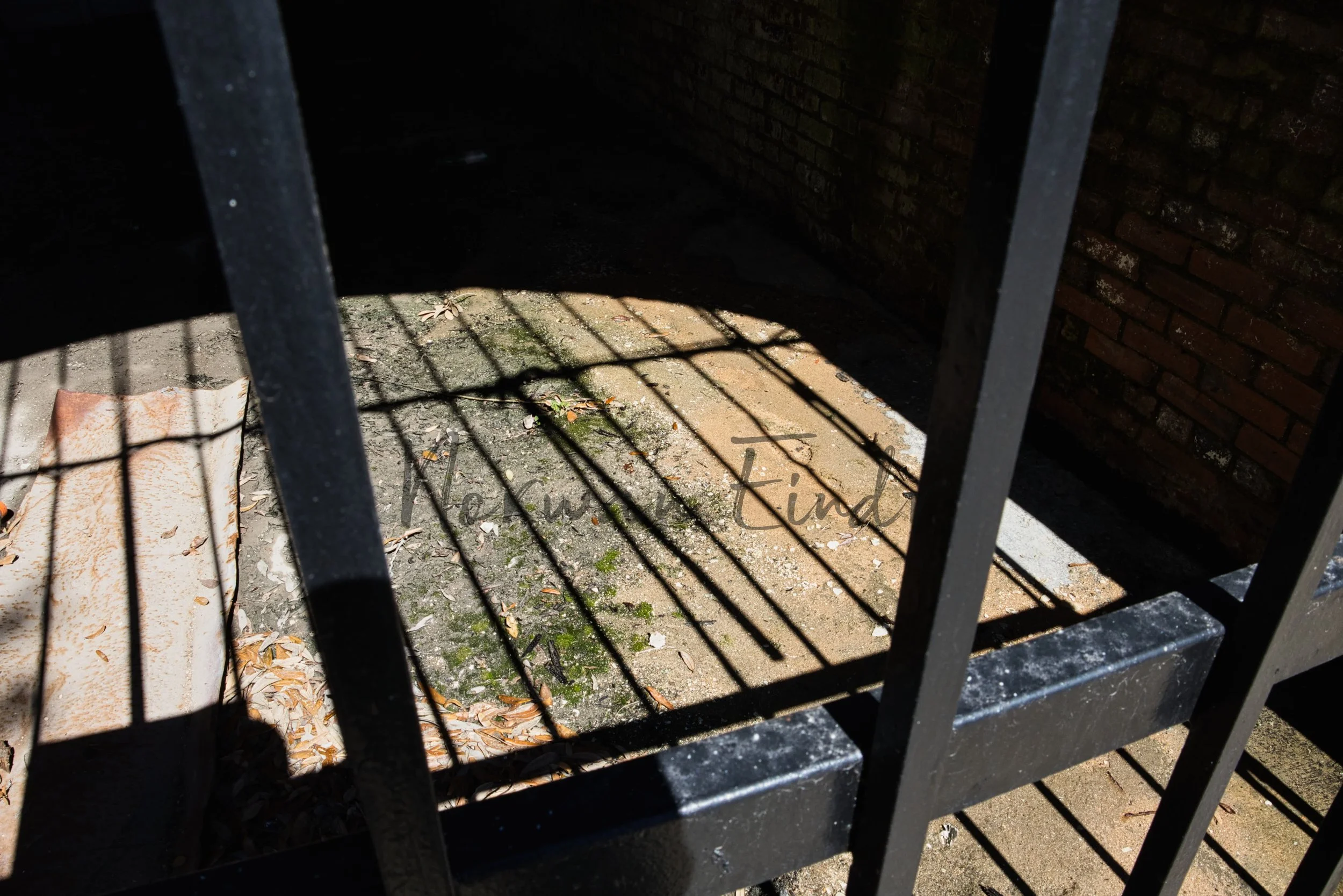 Stock Photo Pack (7).jpg