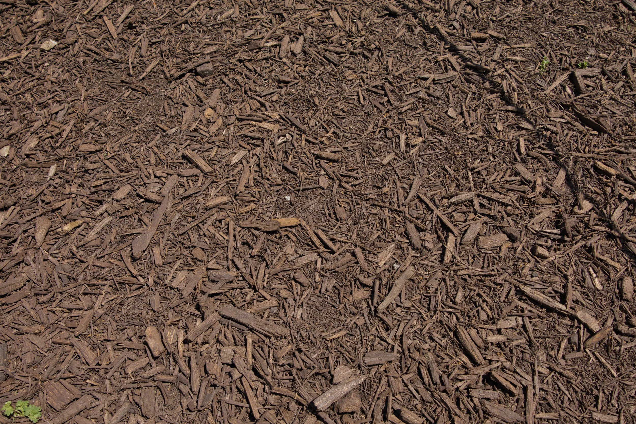 Organic_BarkMulch_Shredded (3).jpg
