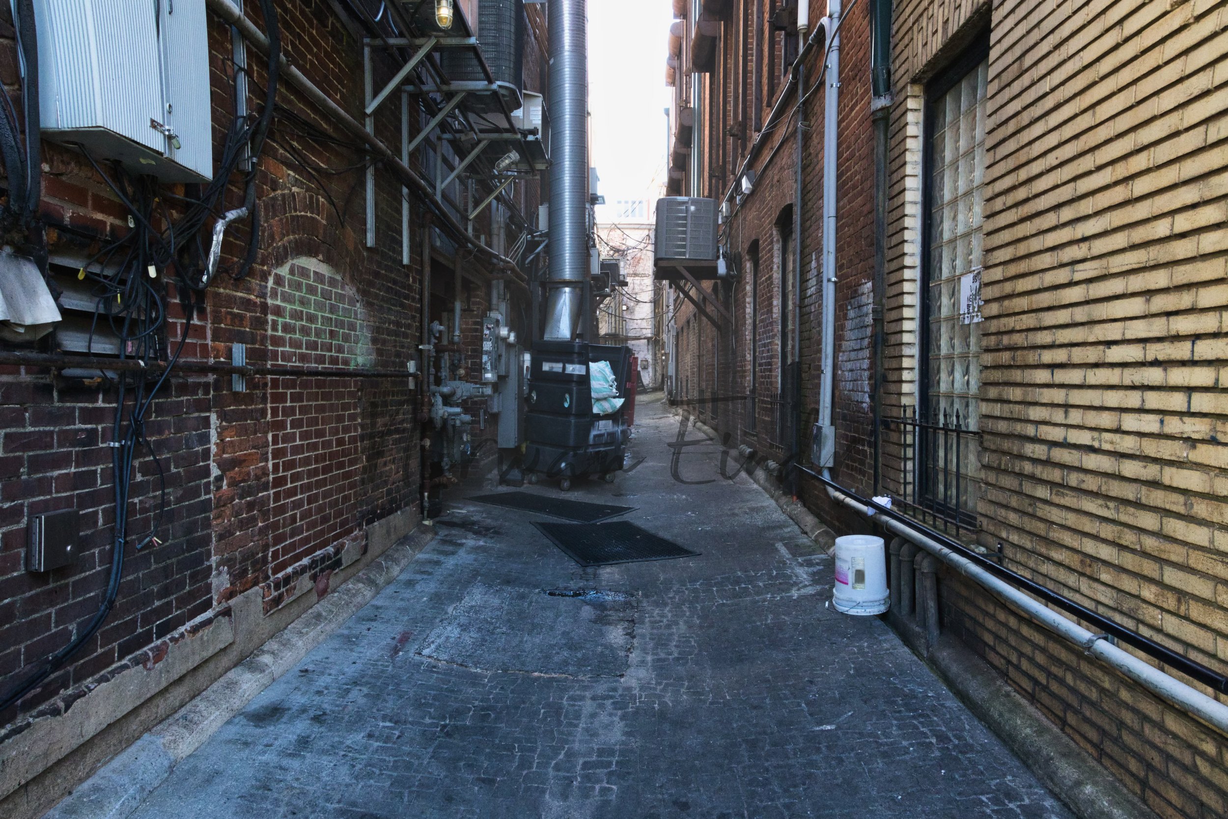 Stock Photo Pack (6).jpg