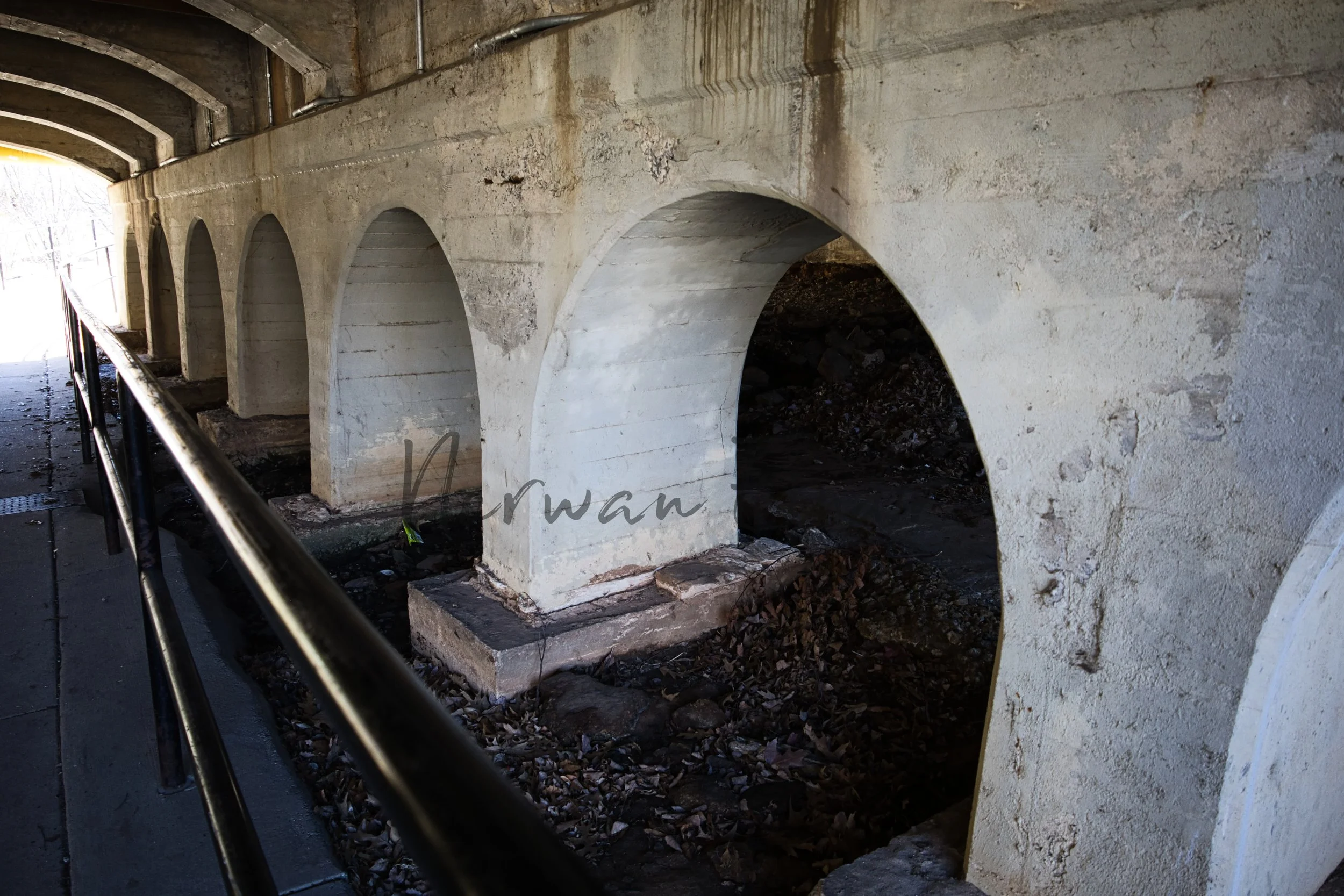 Stock Photo Pack (4).jpg